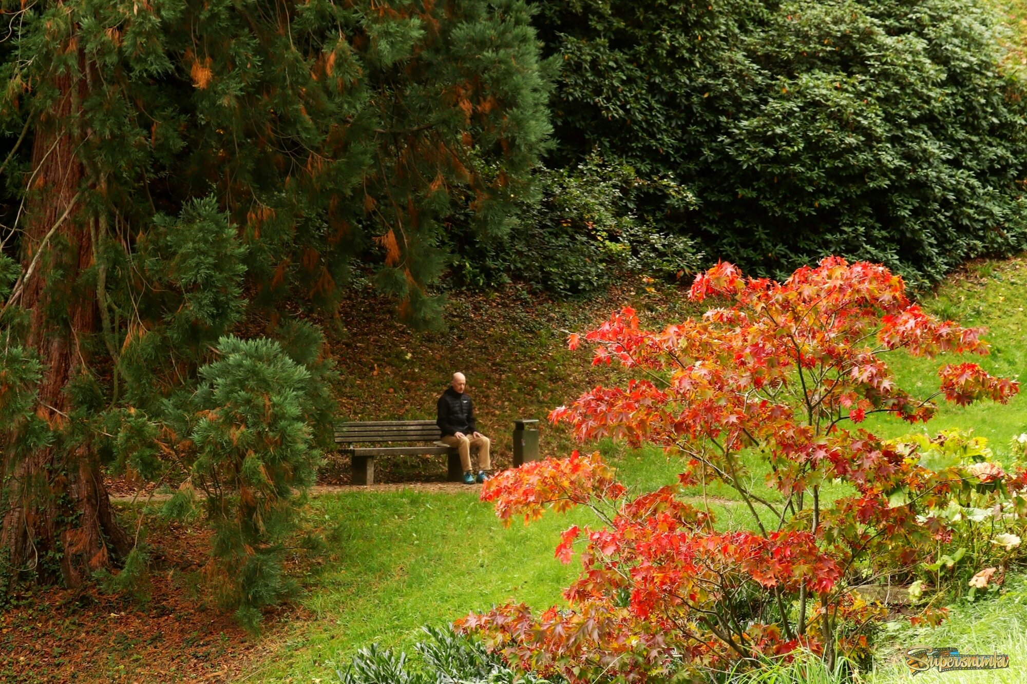 Одиночество