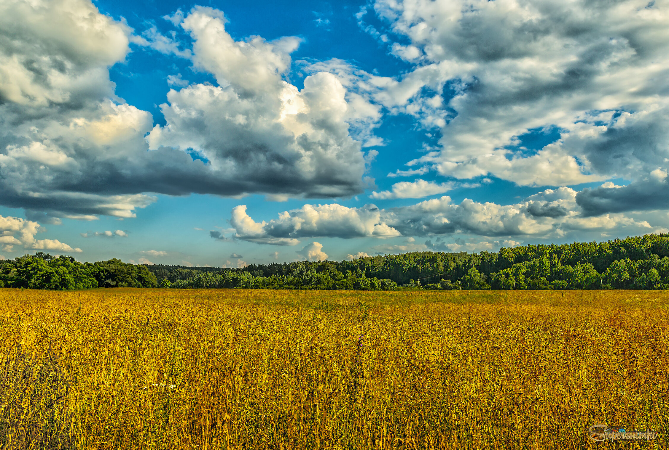 Середина лета
