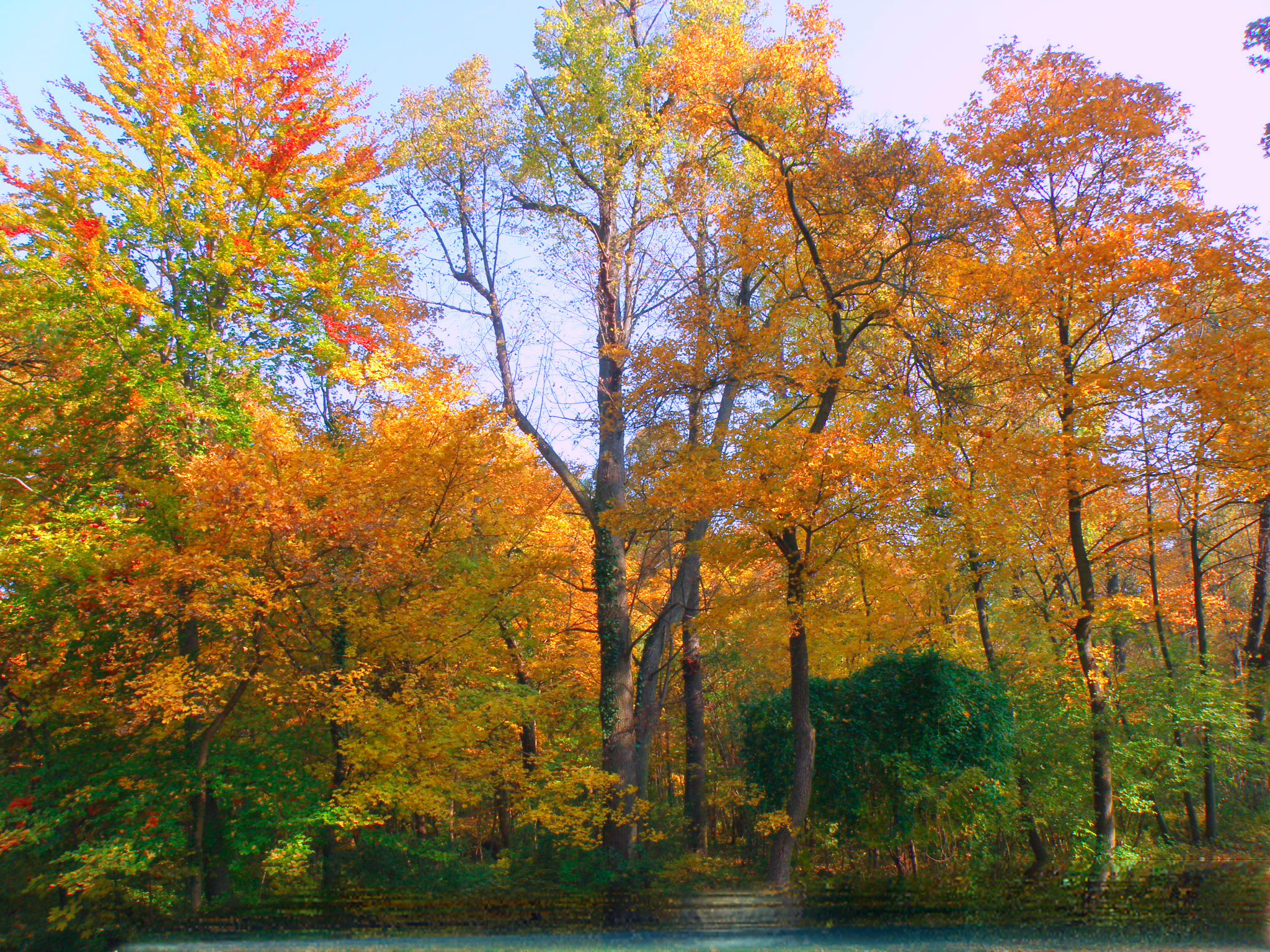 Солнечный день.