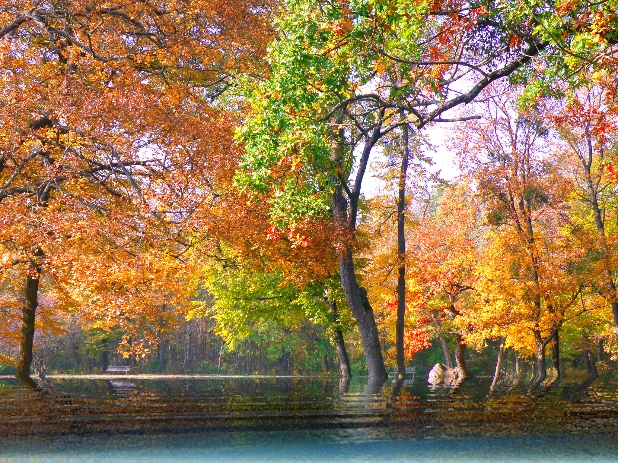 Солнечный день.