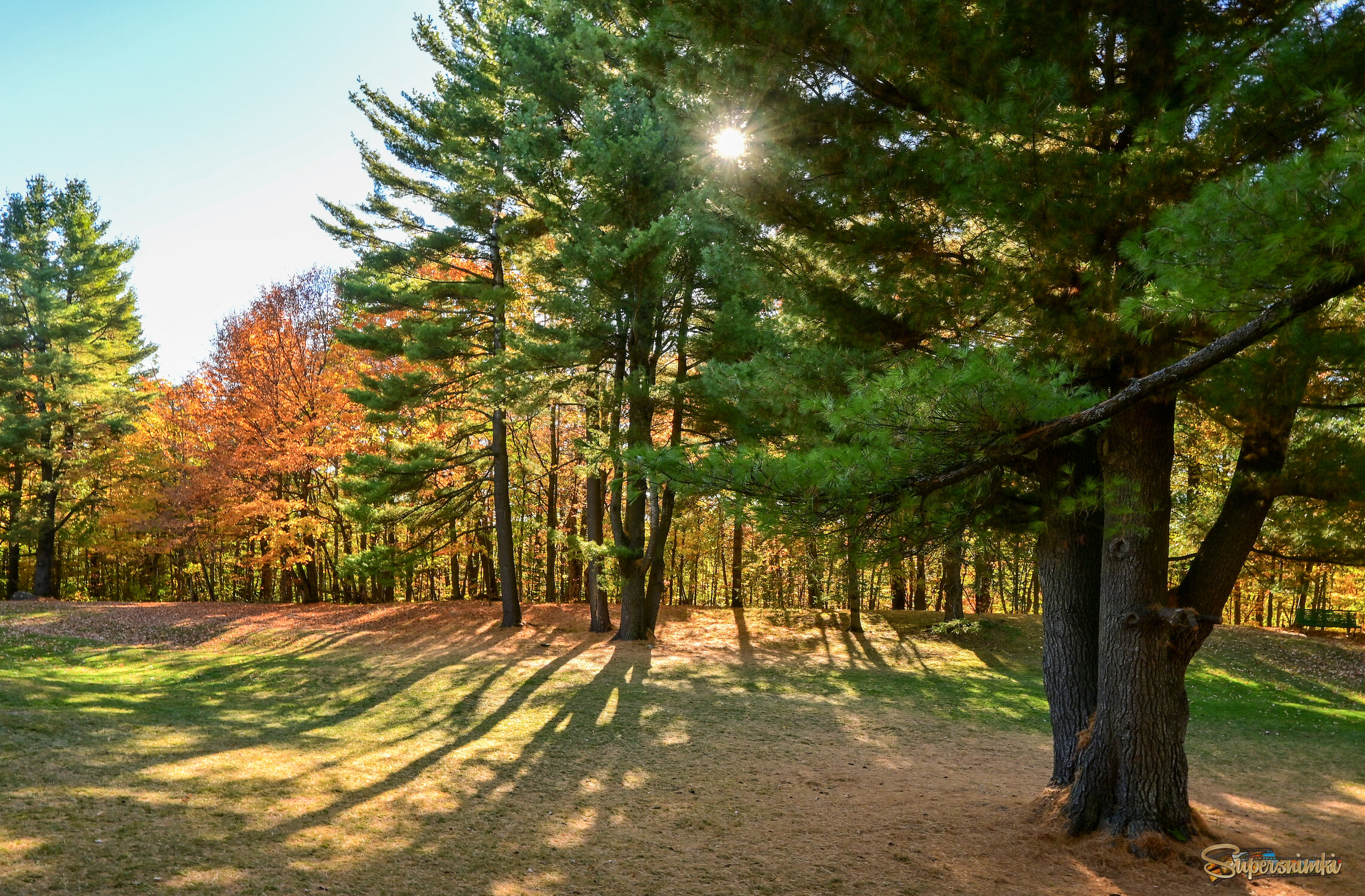 Удлинялись тени