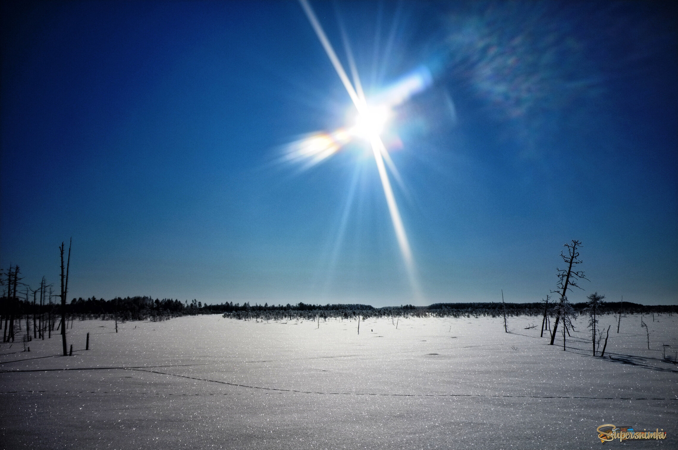 Большое Васюганское болото***