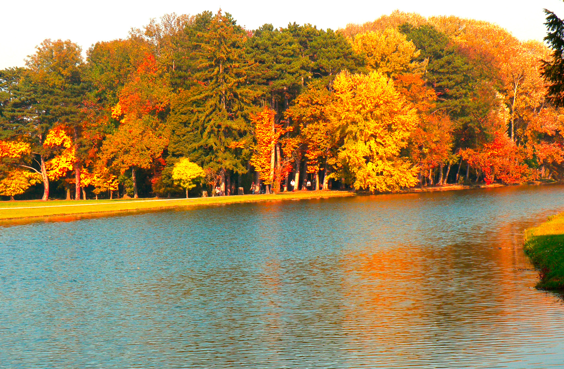 68e15a12c3d57995c159493b