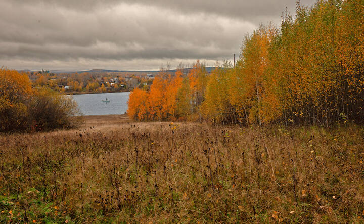 На осенние мотивы