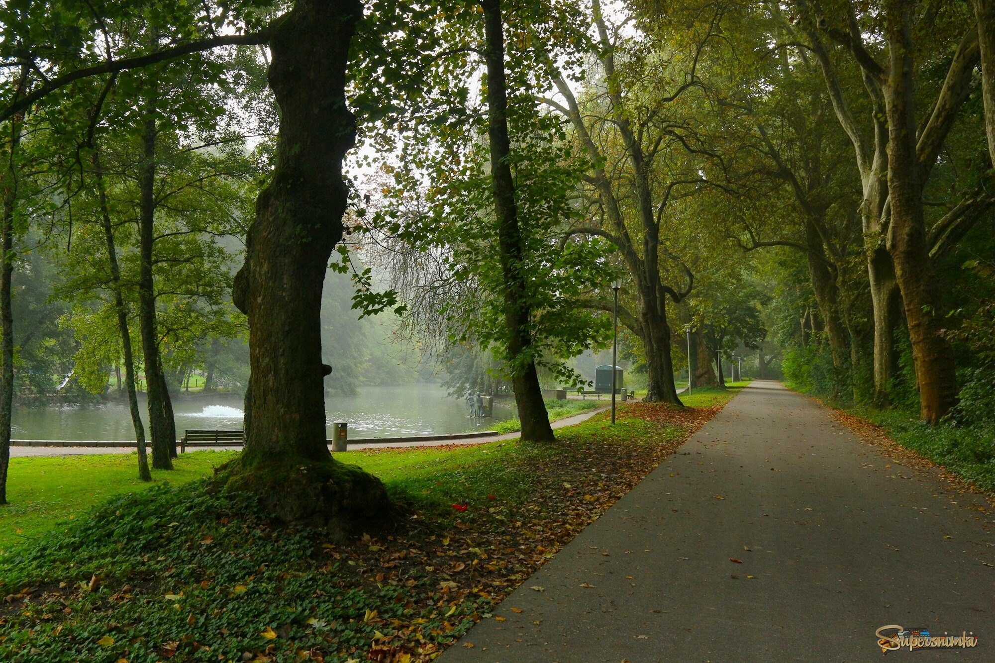 осень,парк,аллея,сентябрь