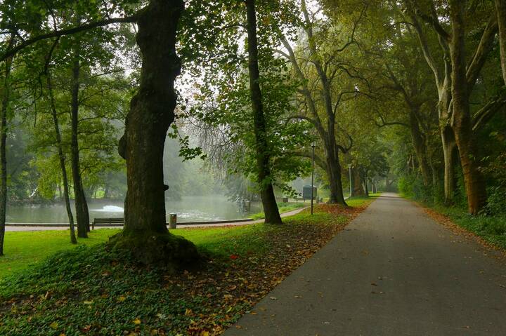 осень,парк,аллея,сентябрь
