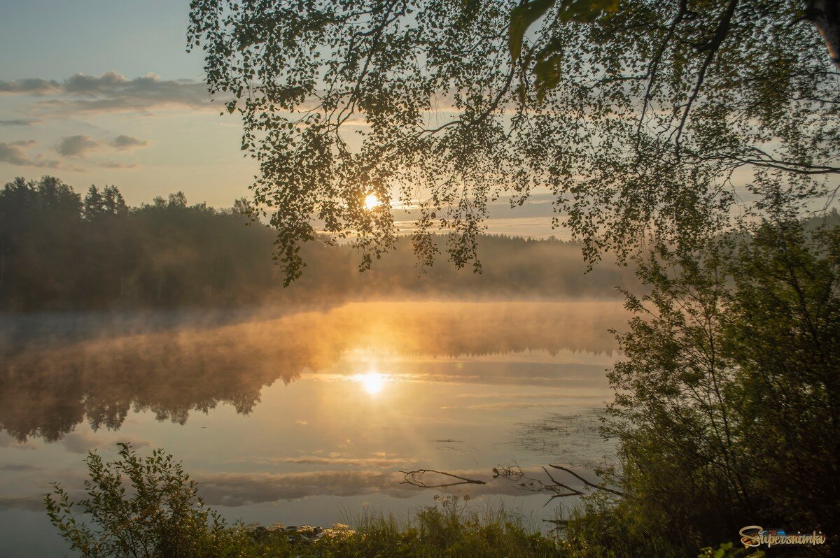 Утро на озере......
