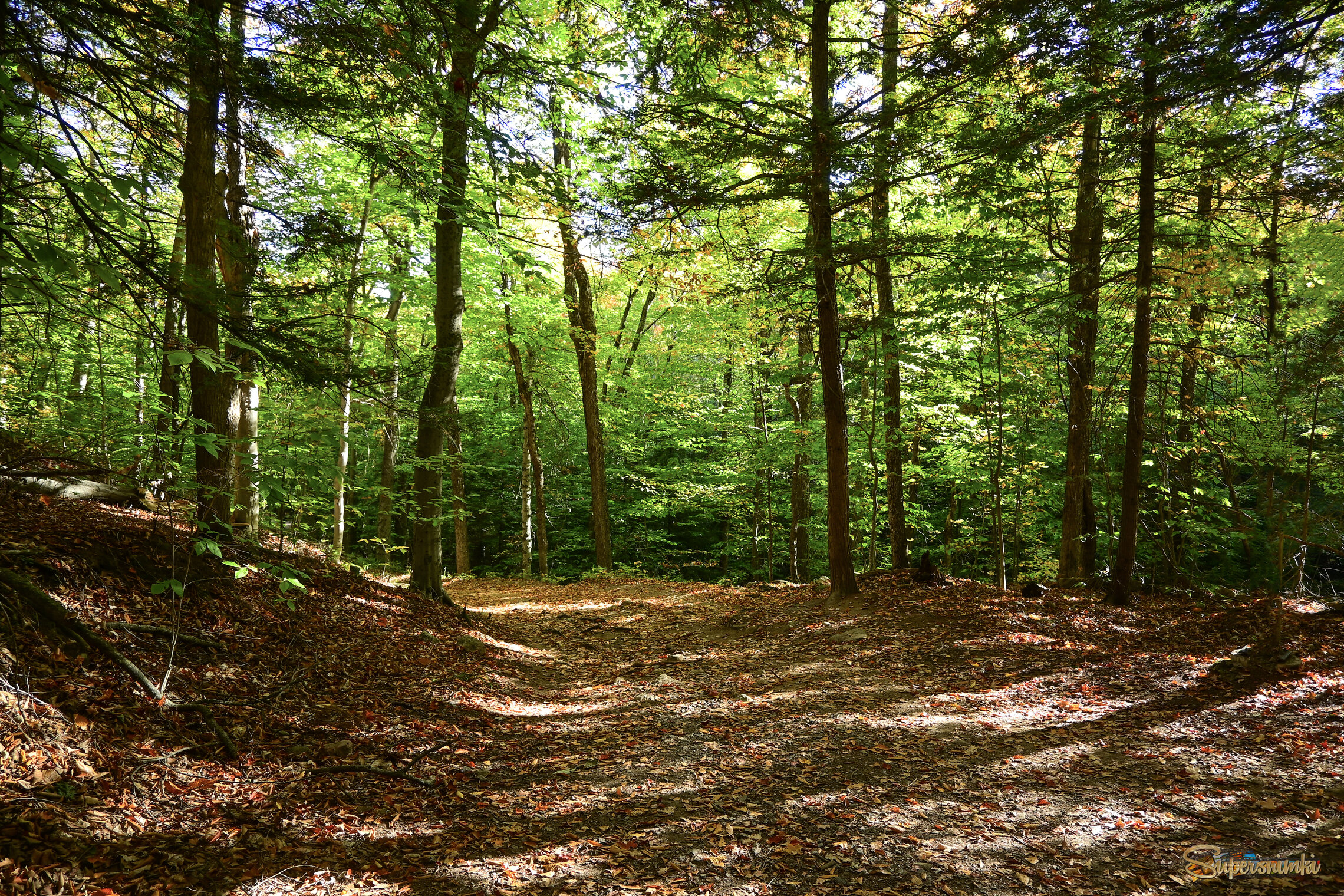 Купание в октябрьском тепле и свете