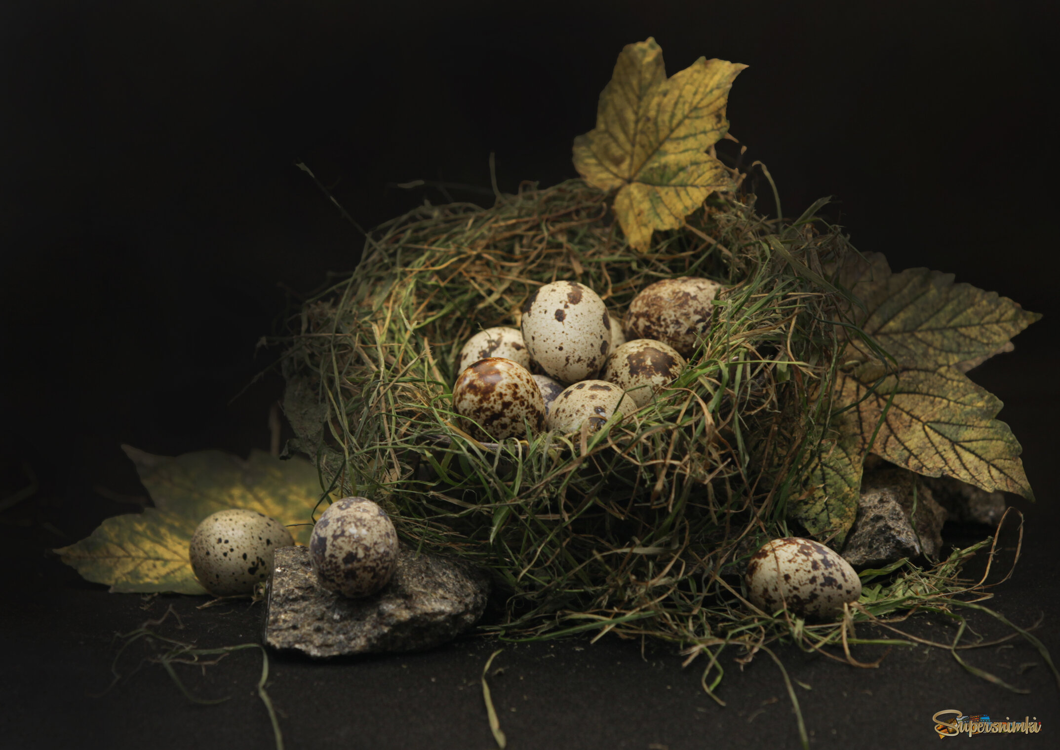 осенний мотив