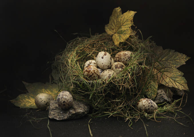 осенний мотив