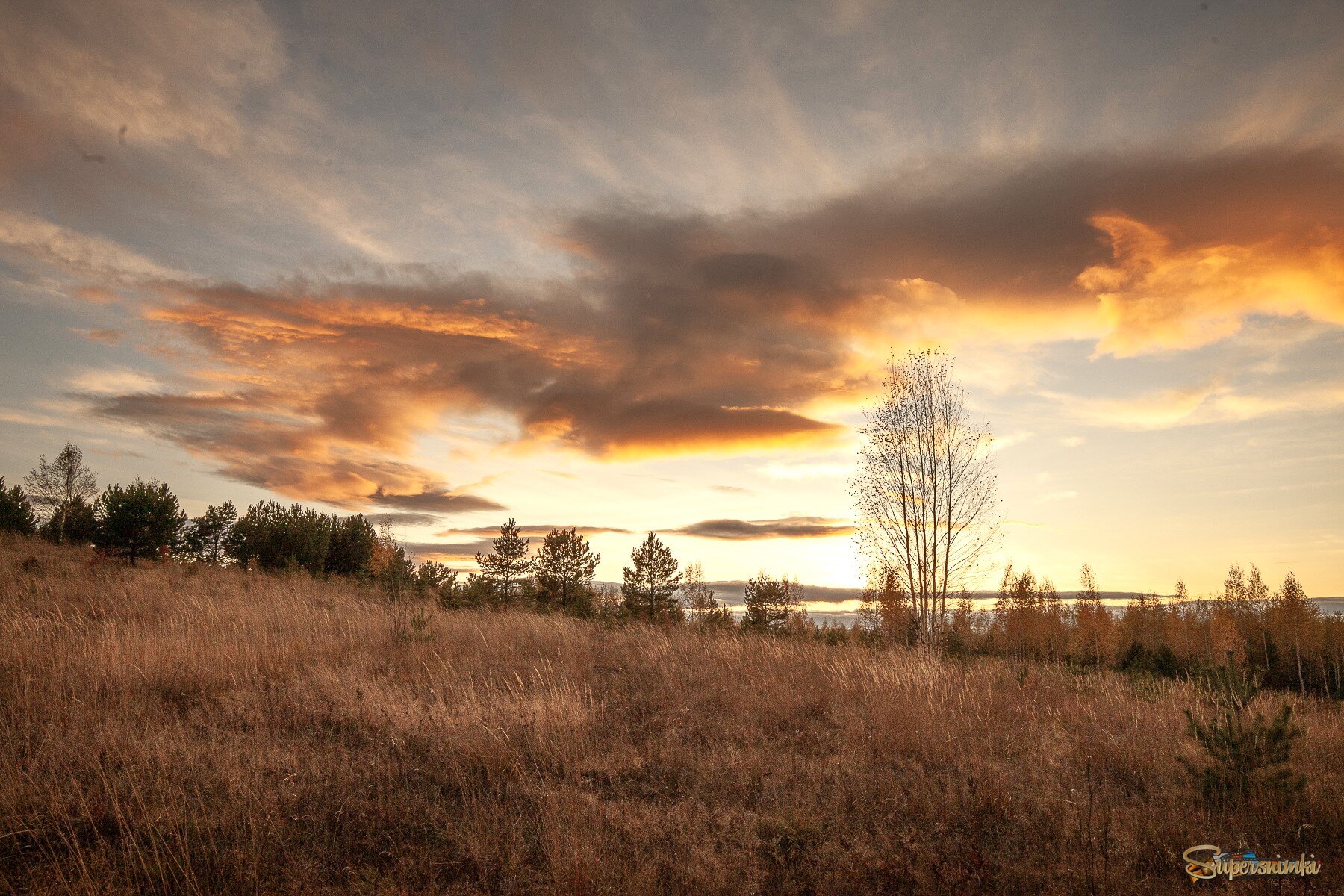 Багровая туча