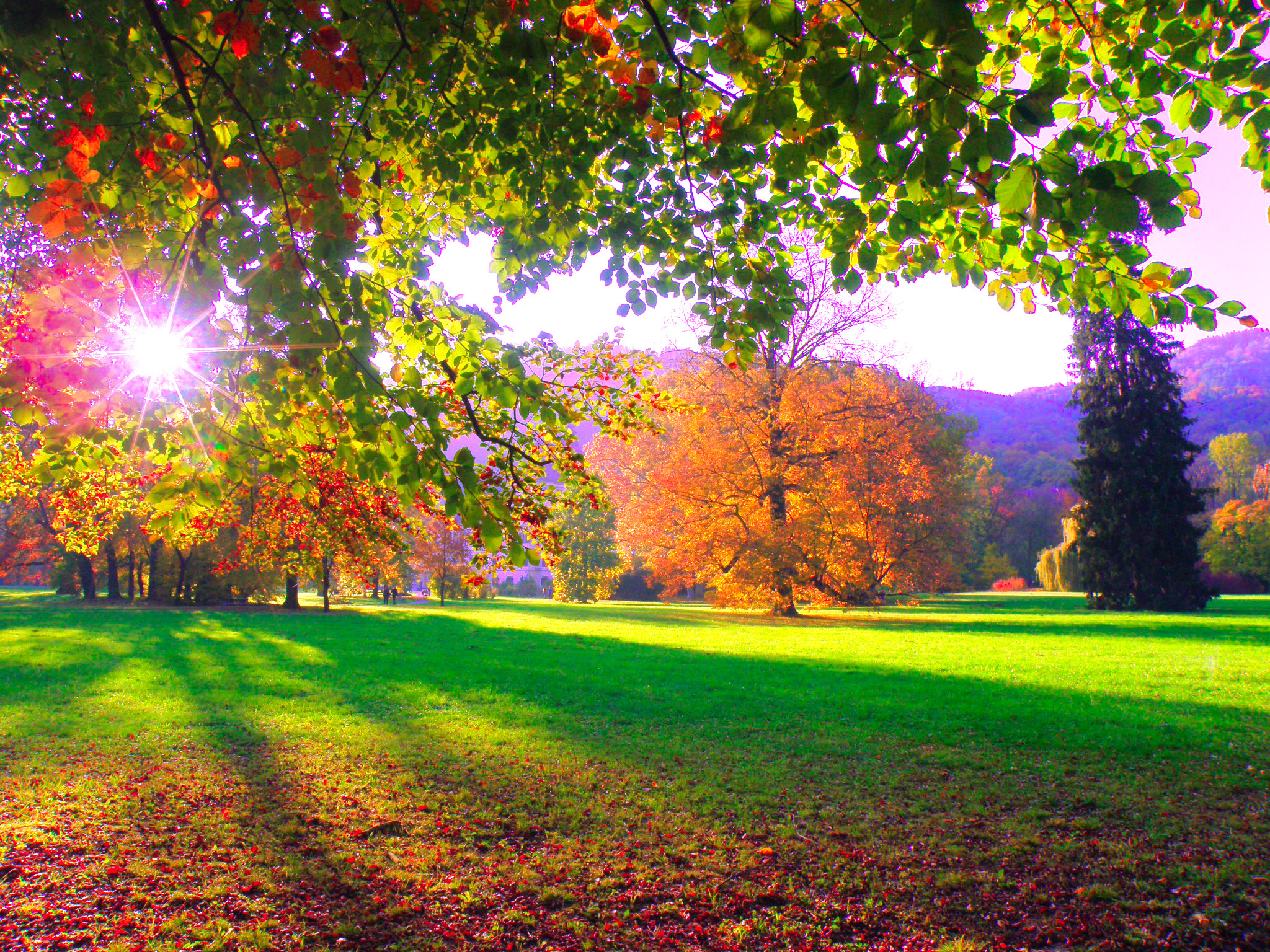 68e159f334f0a8ade8594937