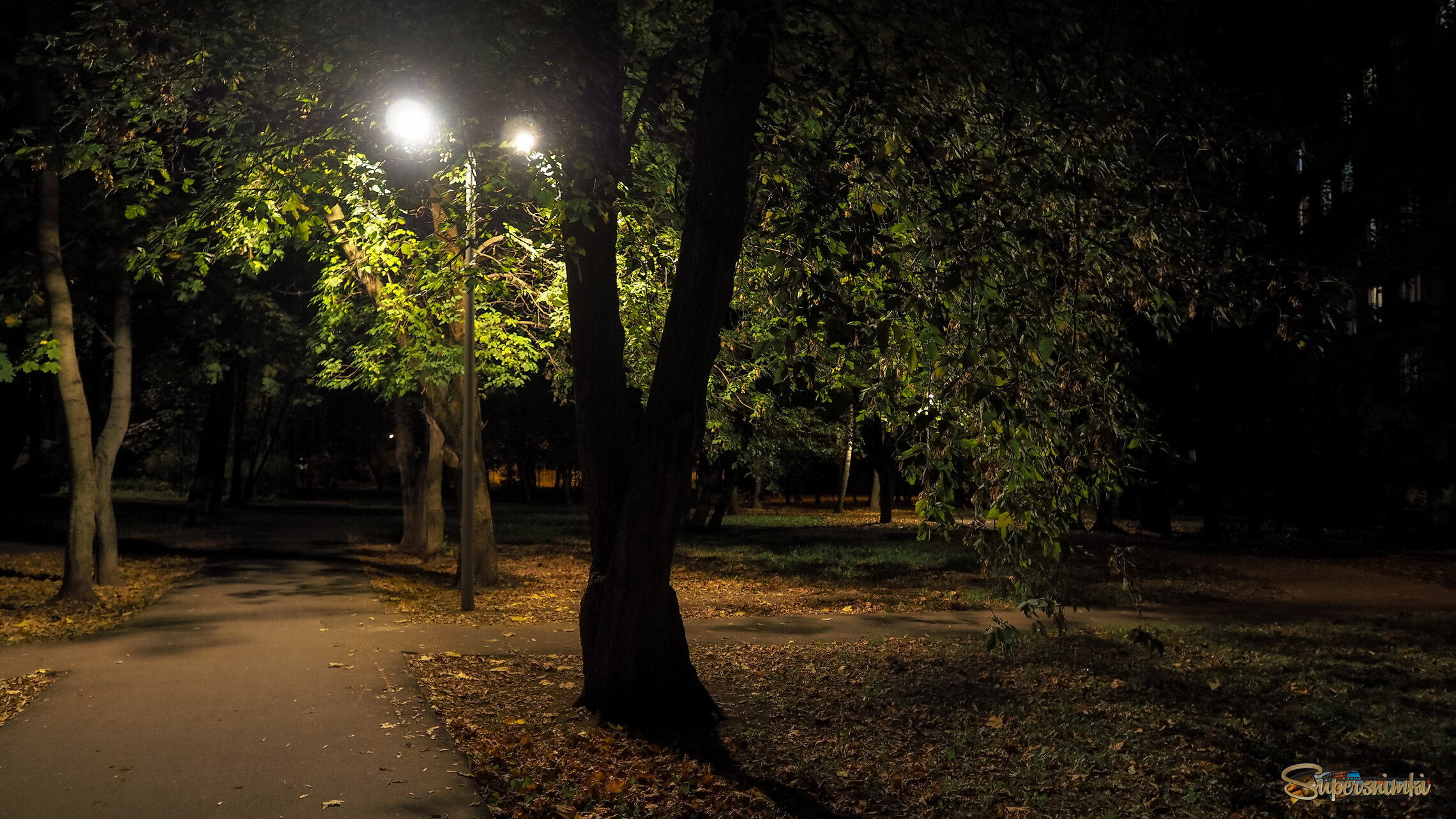 Осенний Вечер Городе