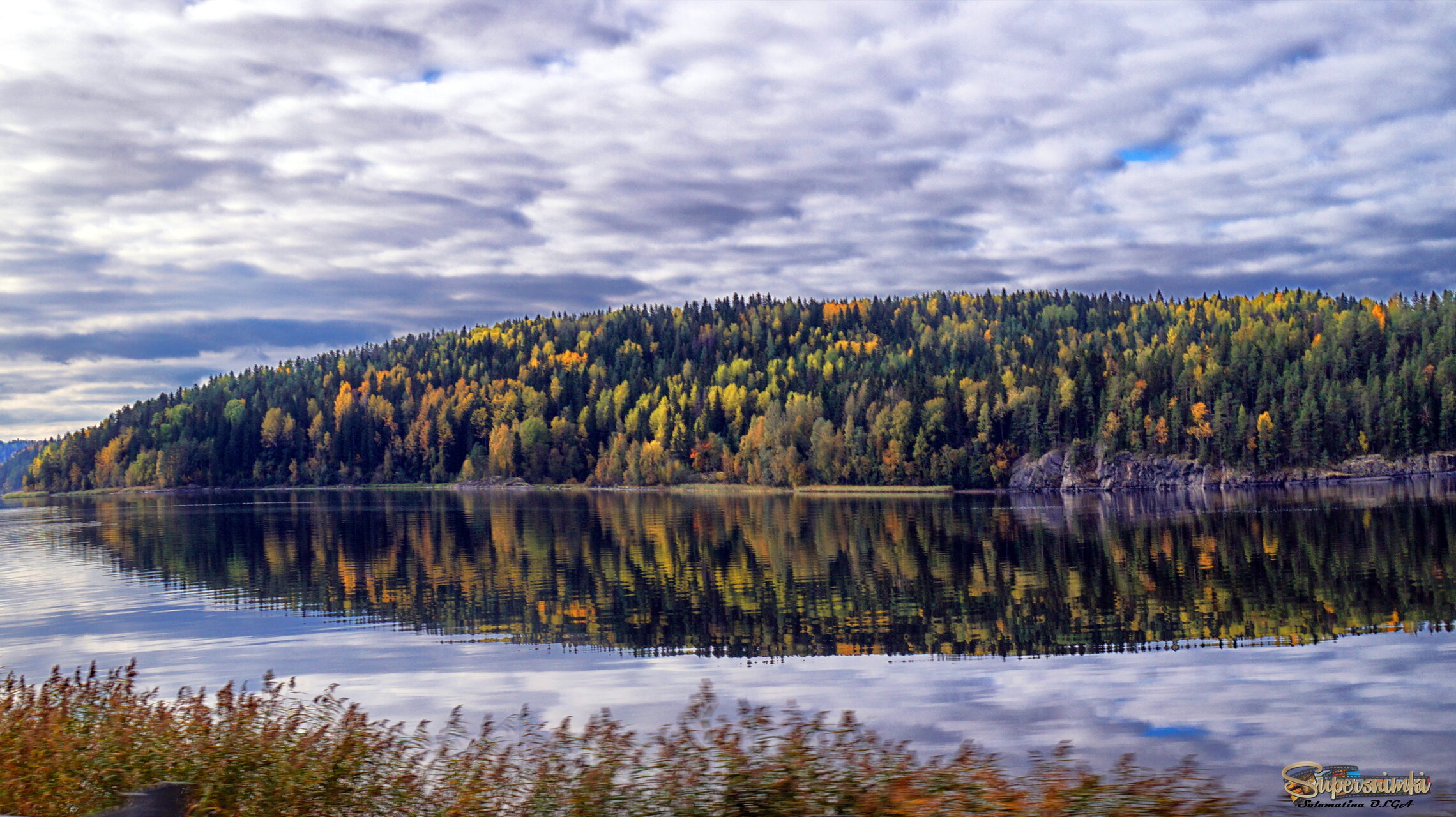 разноцветие....