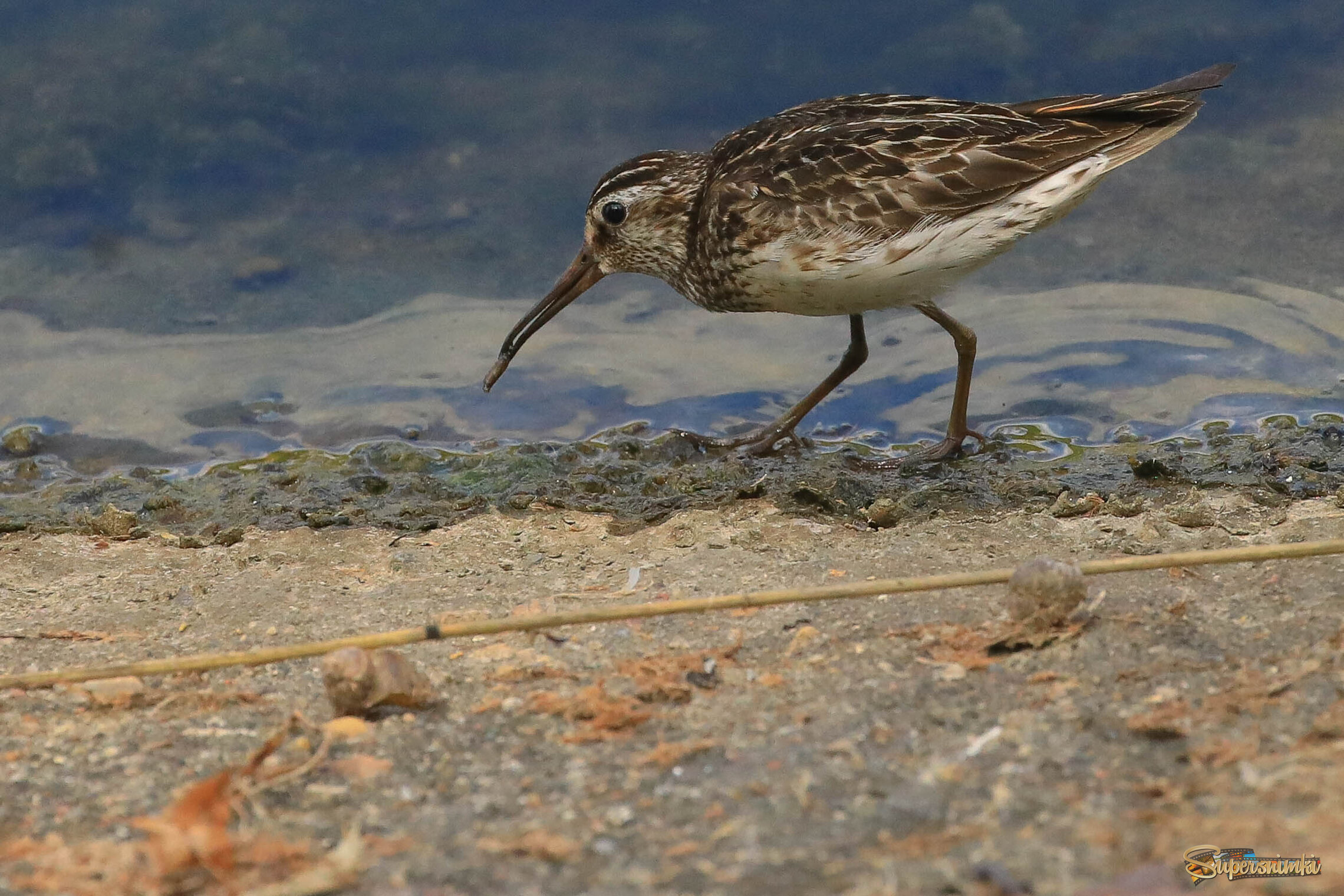 После долгих поисков