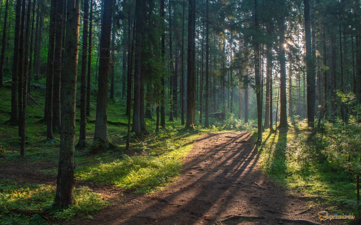 Пути утренние.......