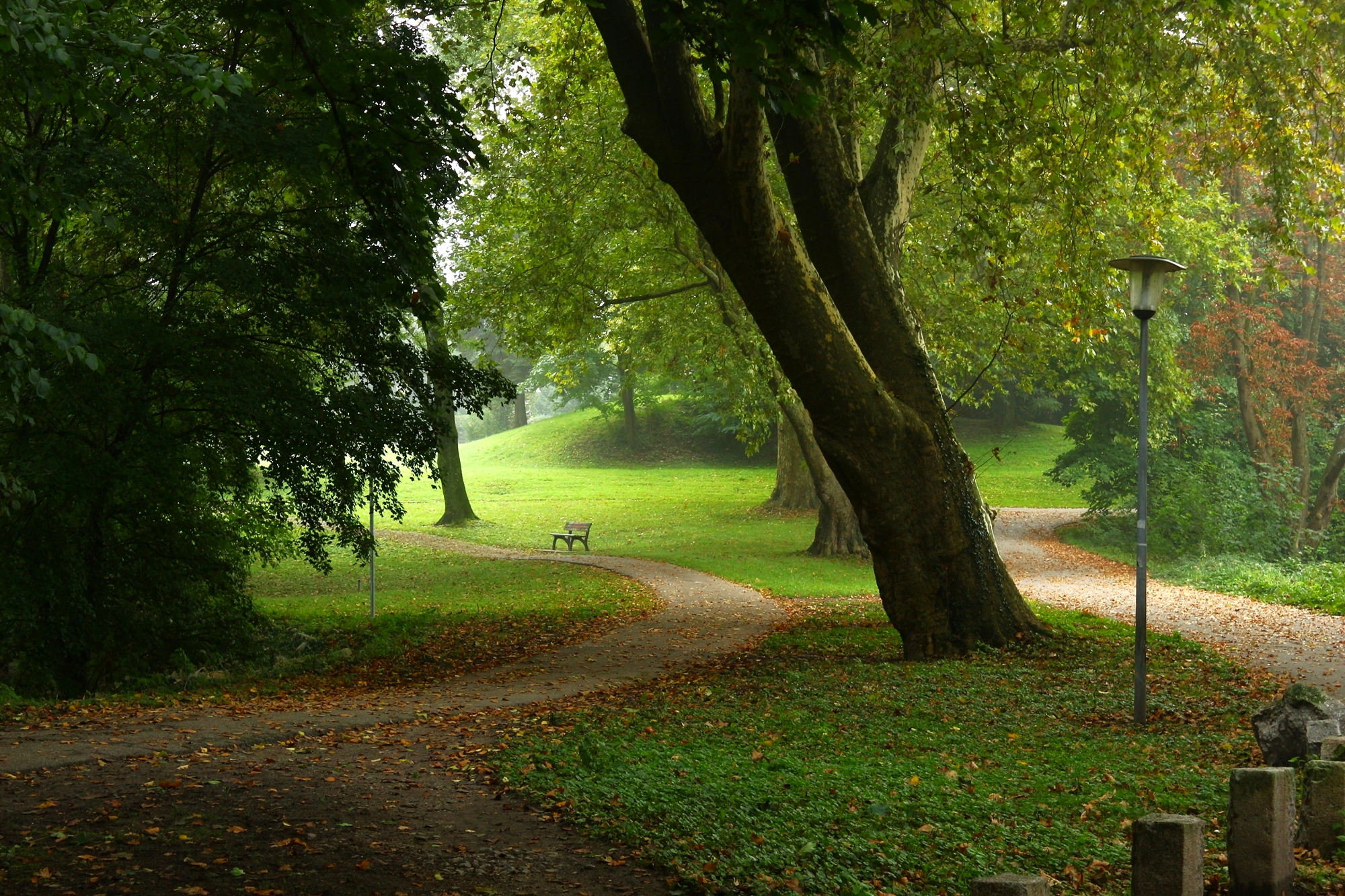 Осени начало