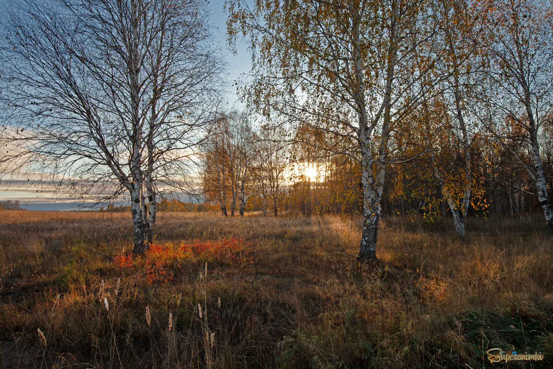 Увядающая осень