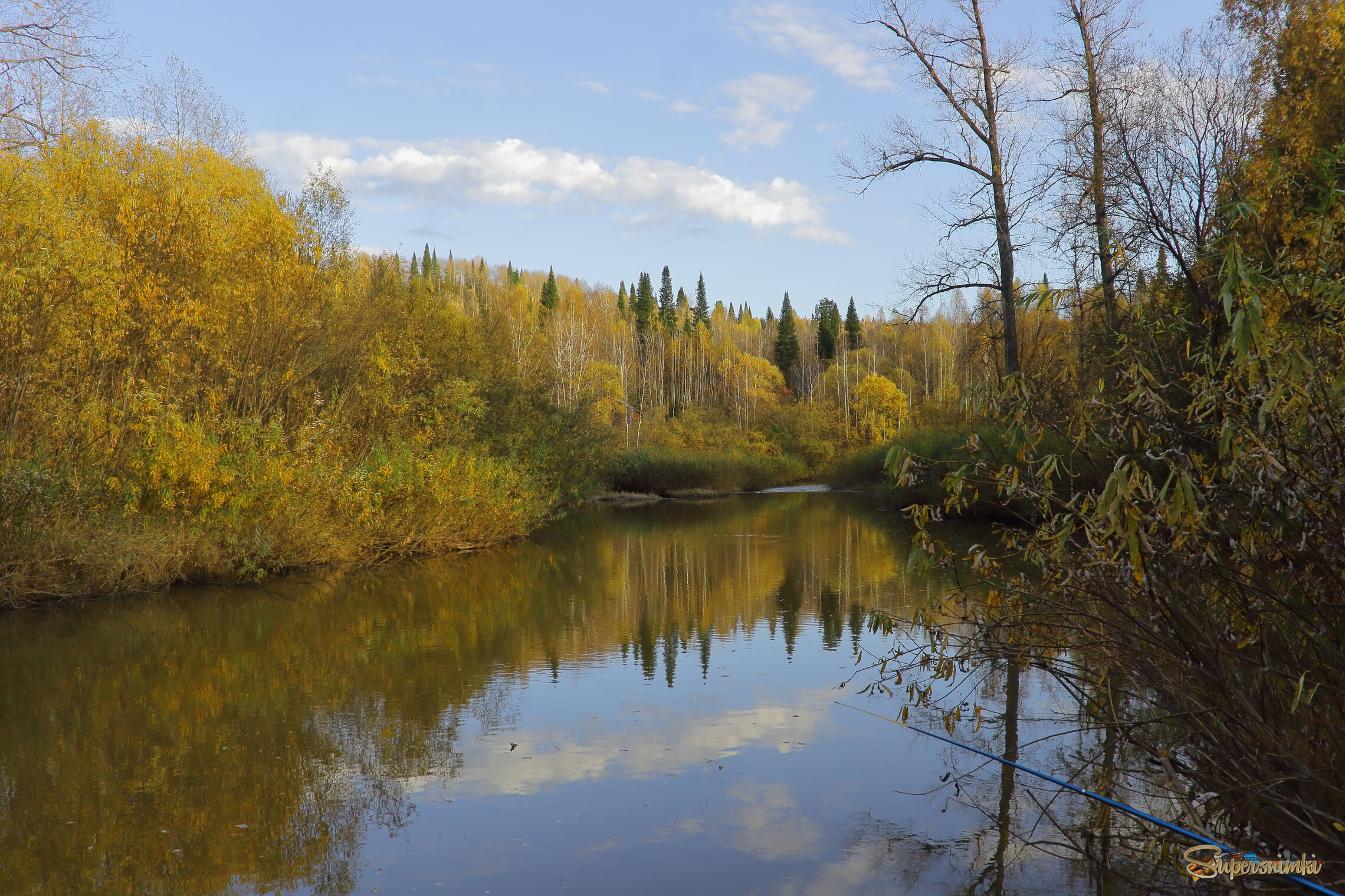 Золото осени