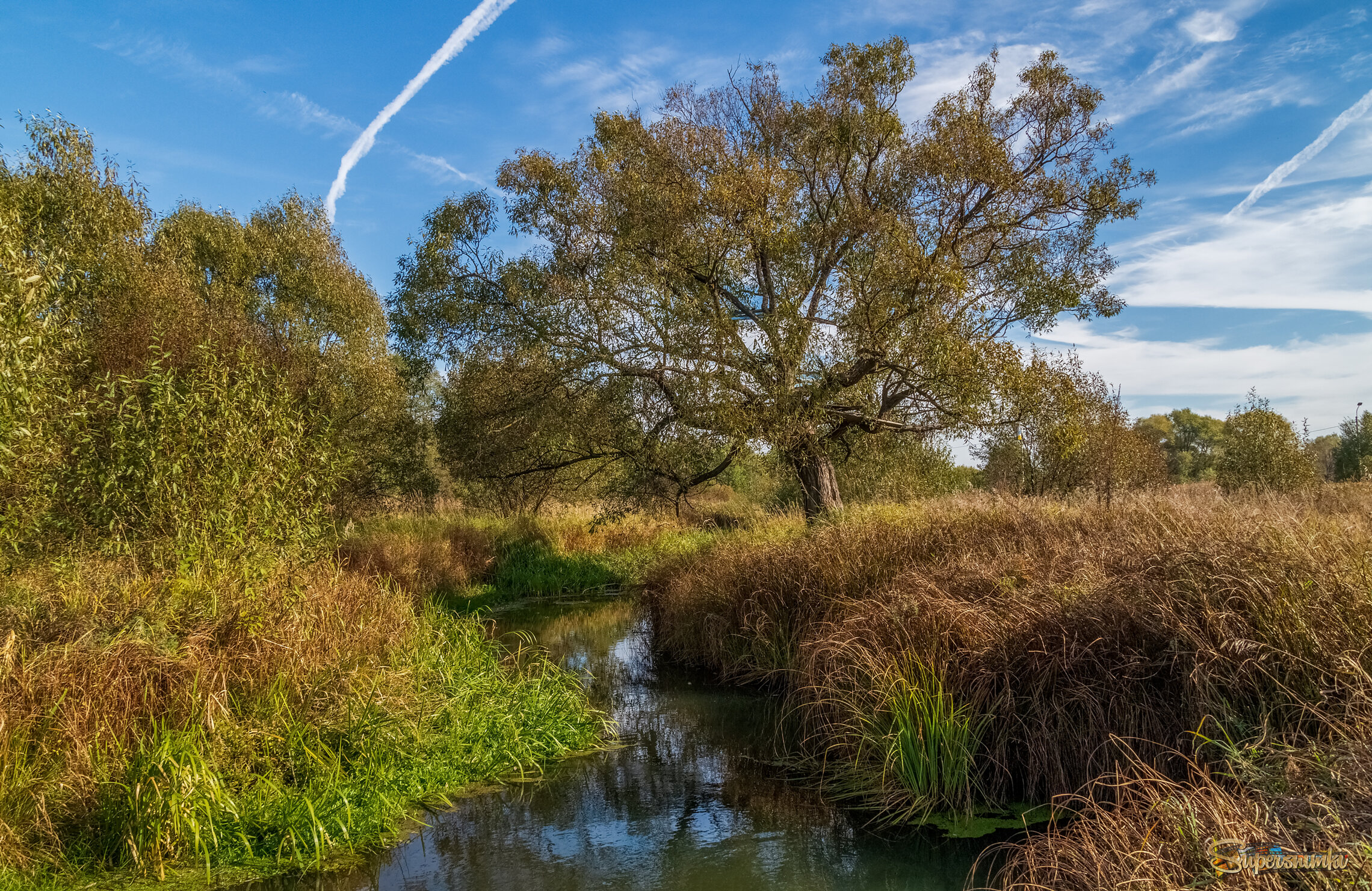 Осень достала краски 