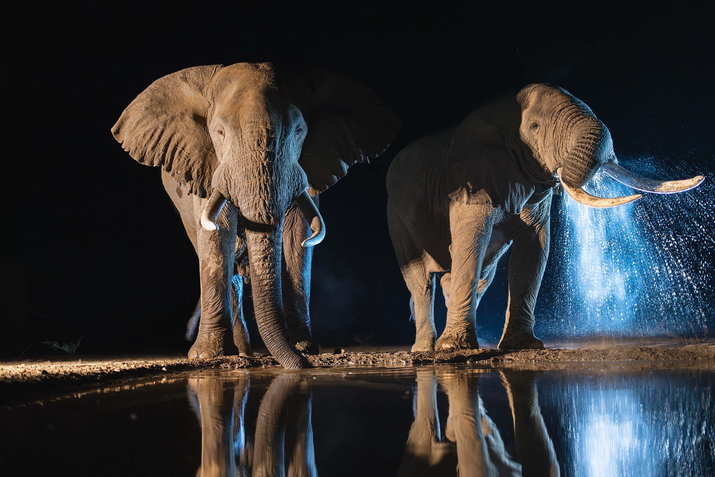 Имидж - ничто, жажда - все! 