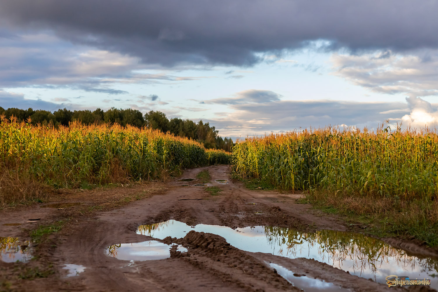 Вечер.После дождя.