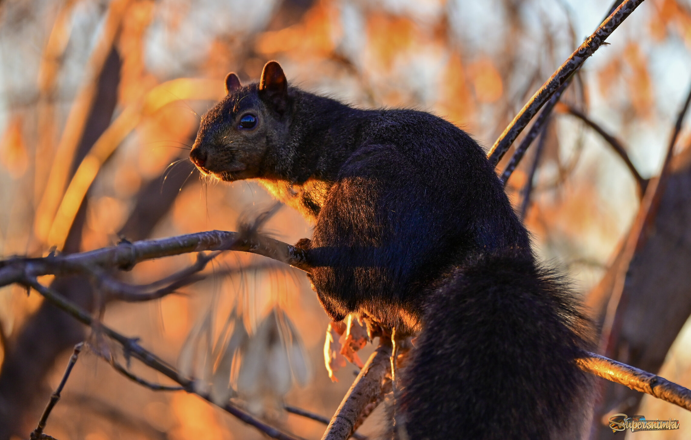 Куда уходит солнце?