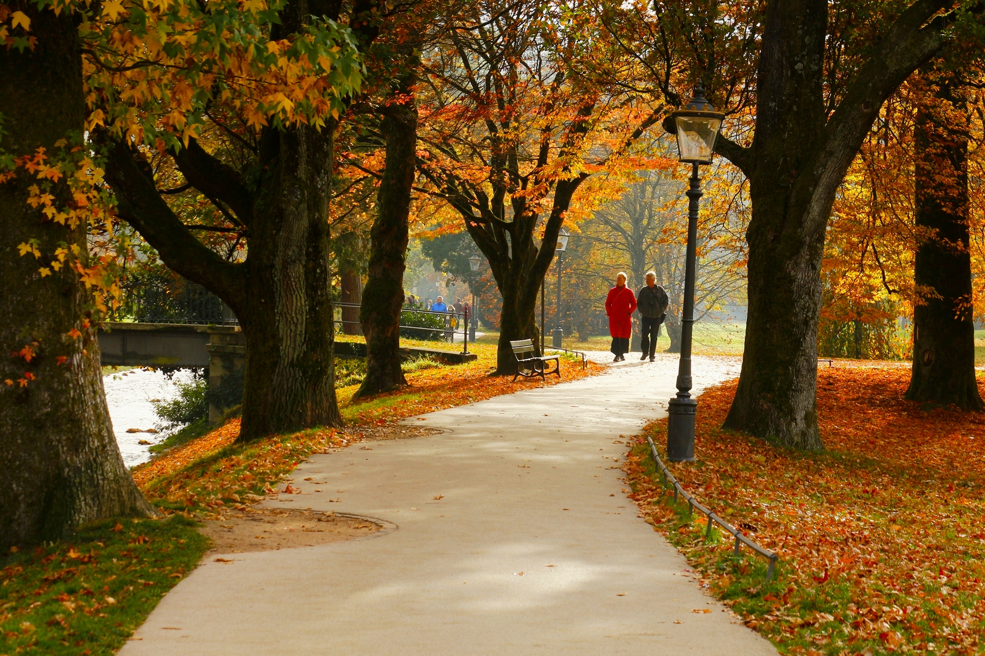 Лихтенталер аллея