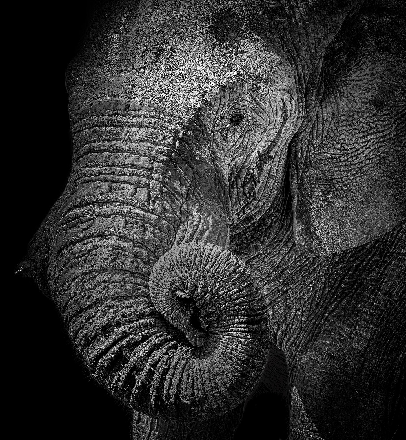 Намибийские истории...