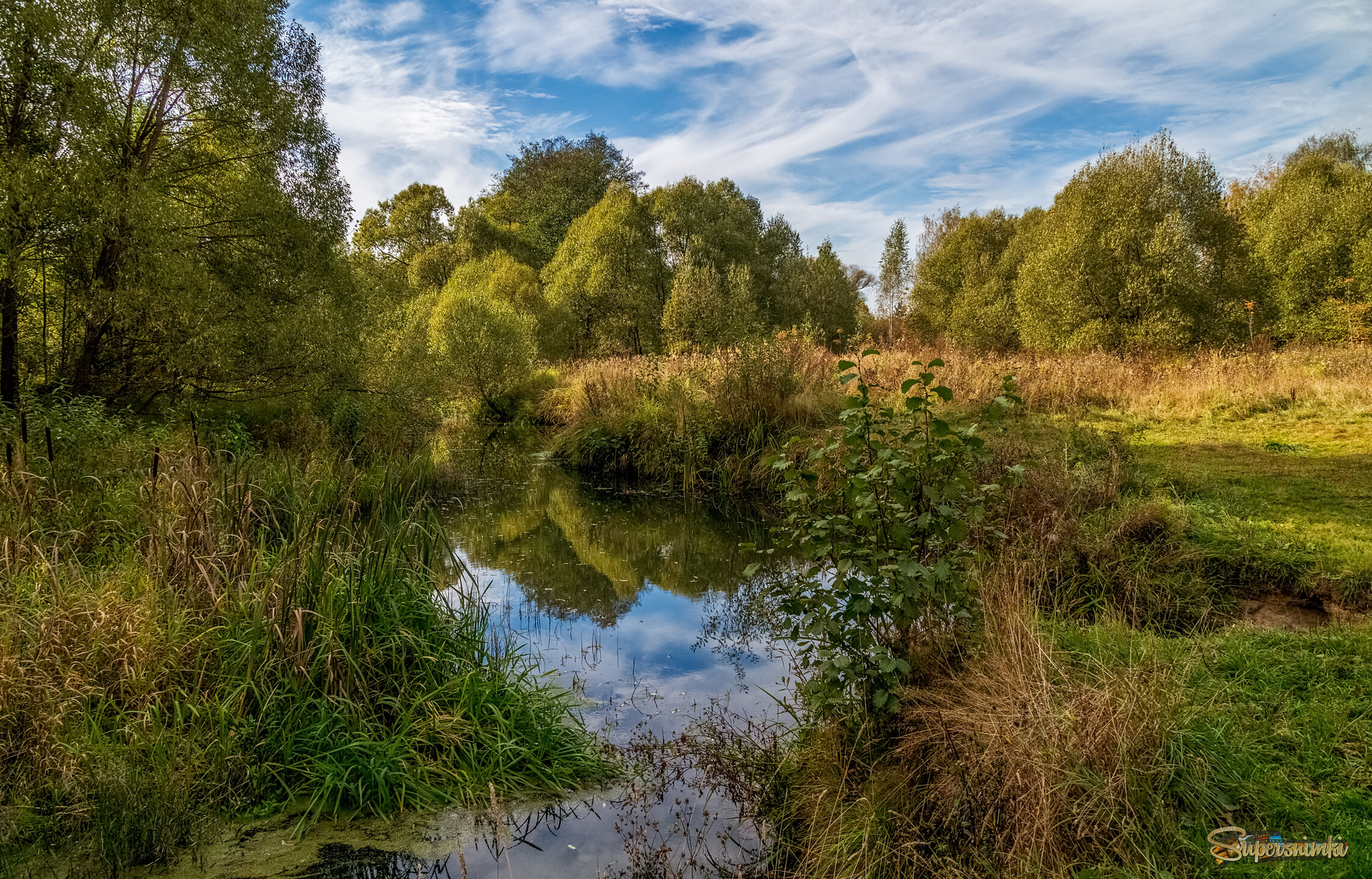Осень достала краски 3