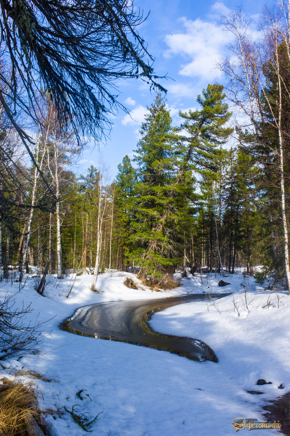 Большое Васюганское болото***
