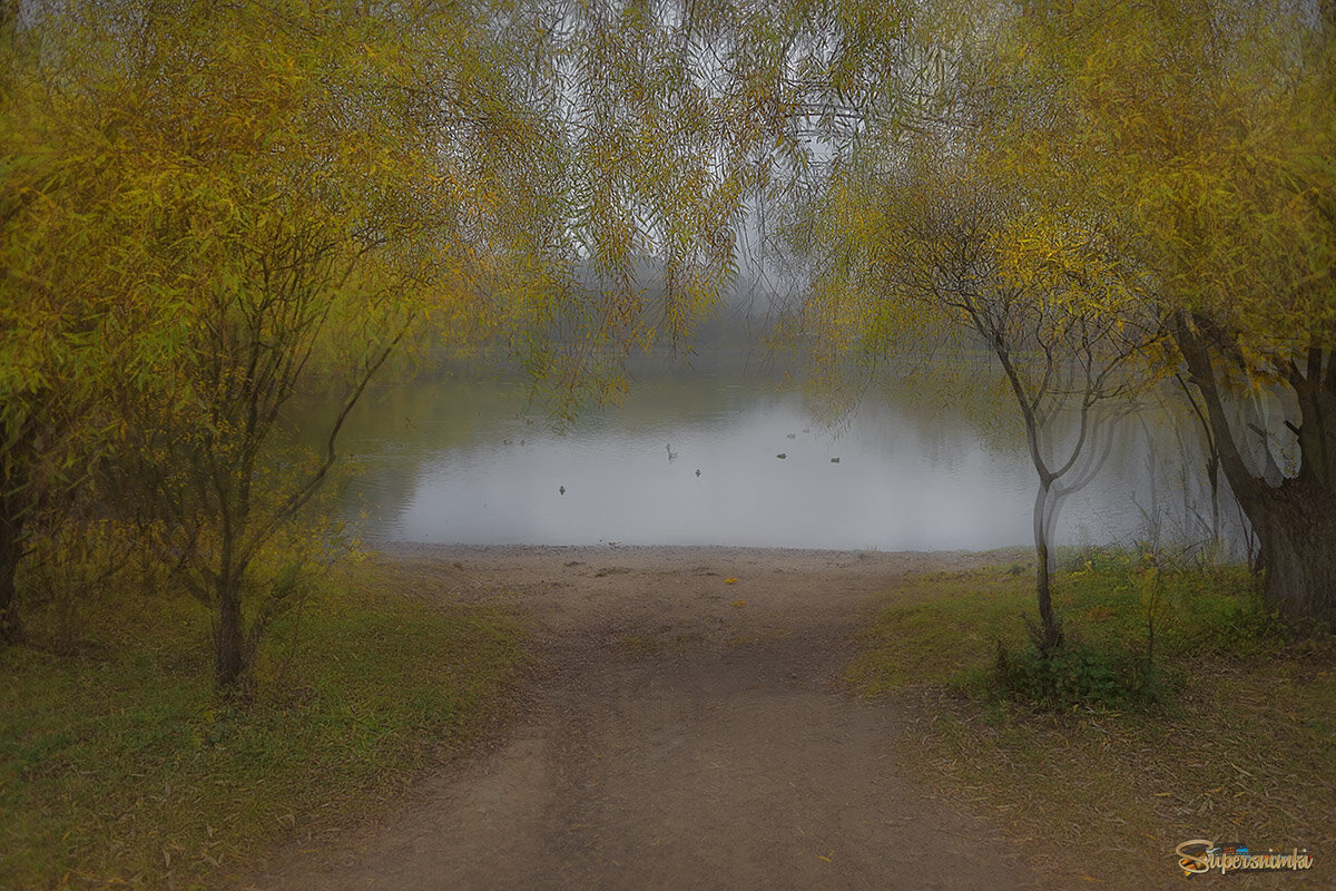 туман в Терлецком парке