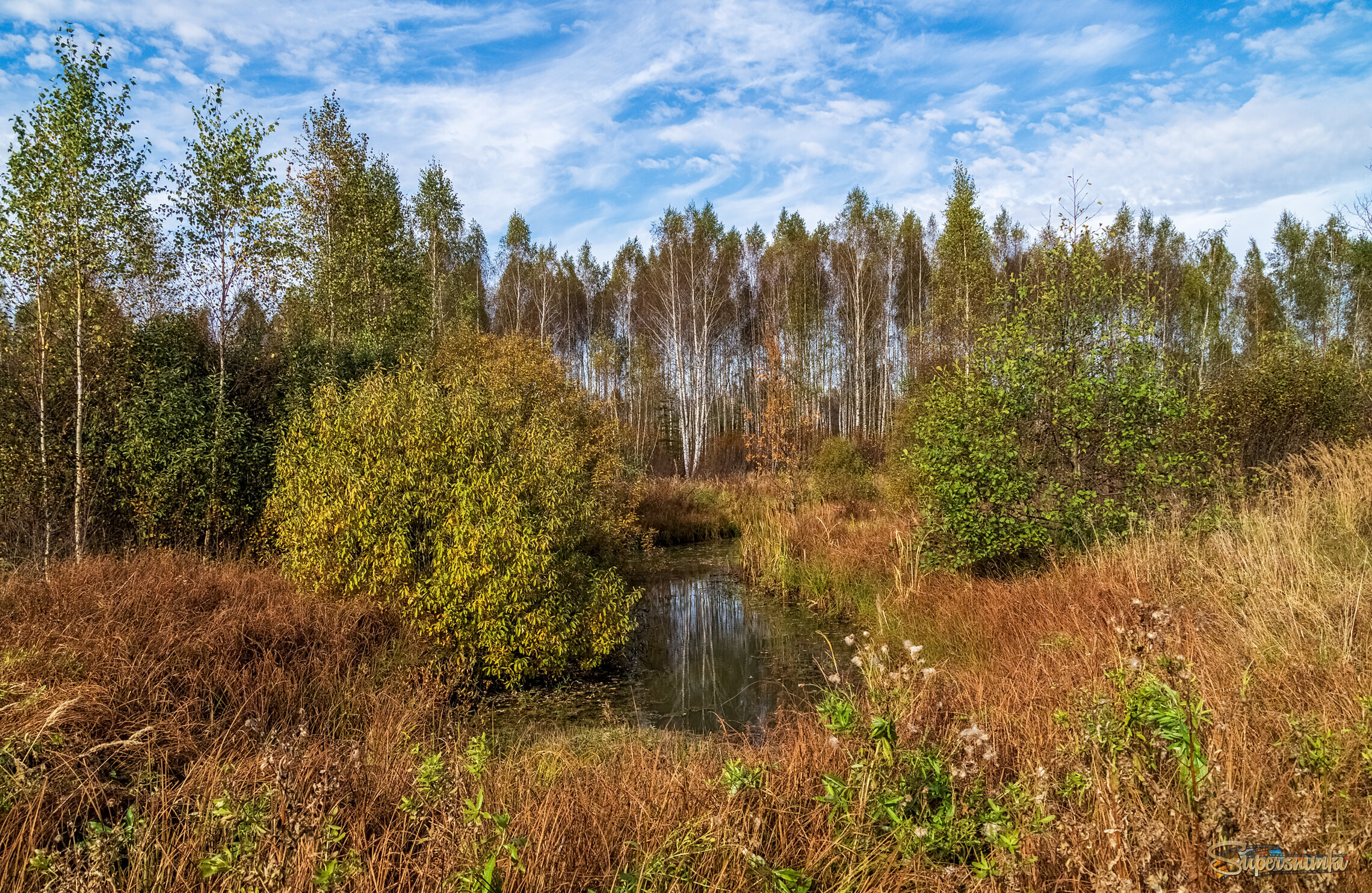 Осень достала краски 4 