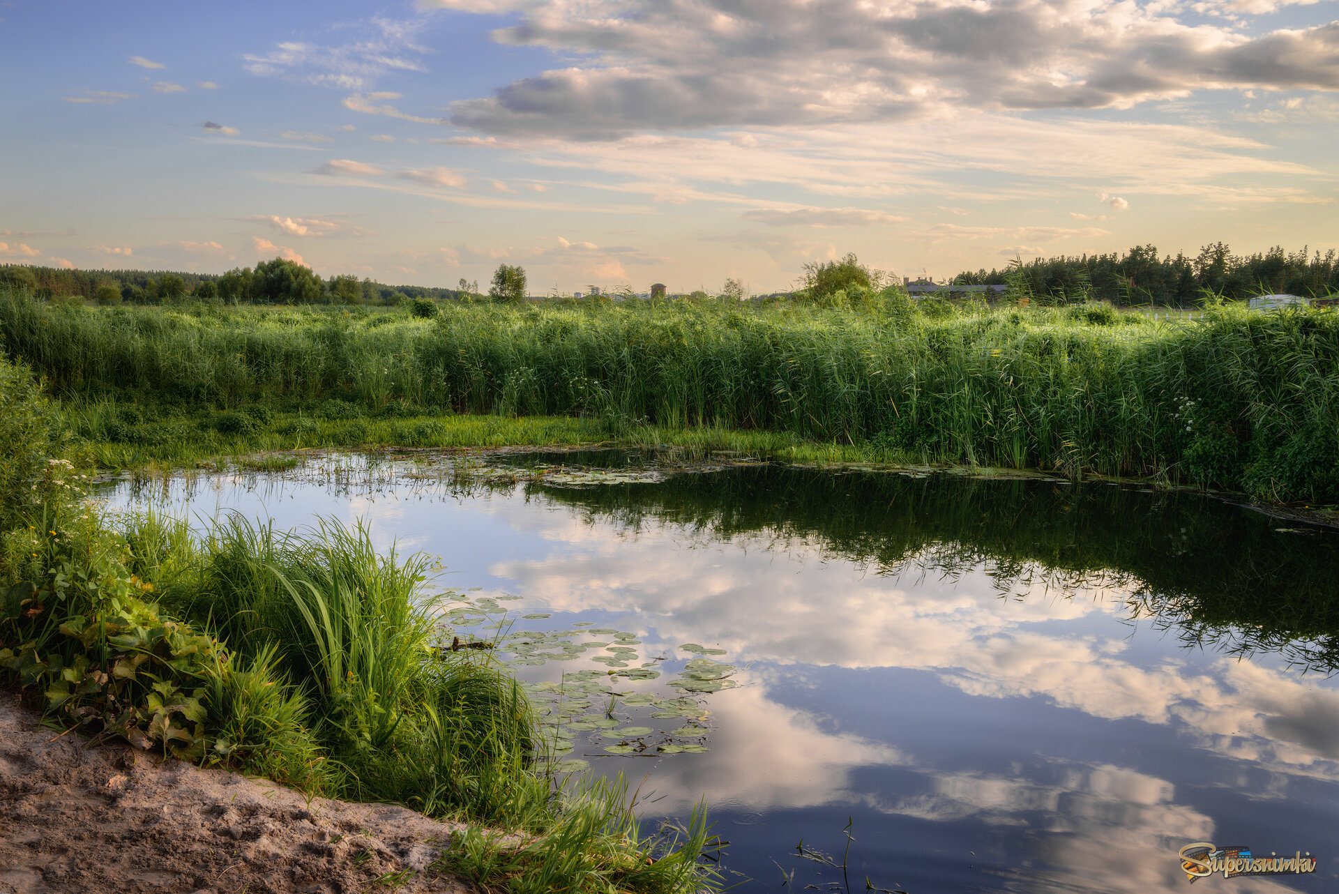 Летний вечер