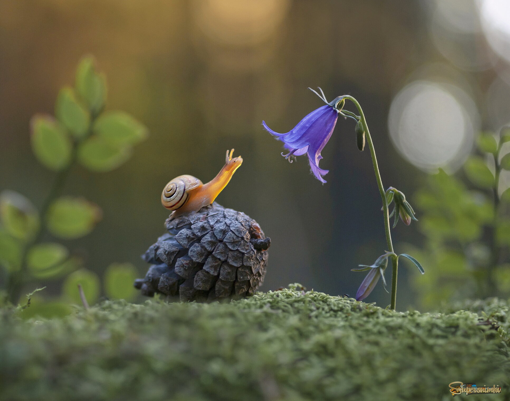  Мгновение нежности