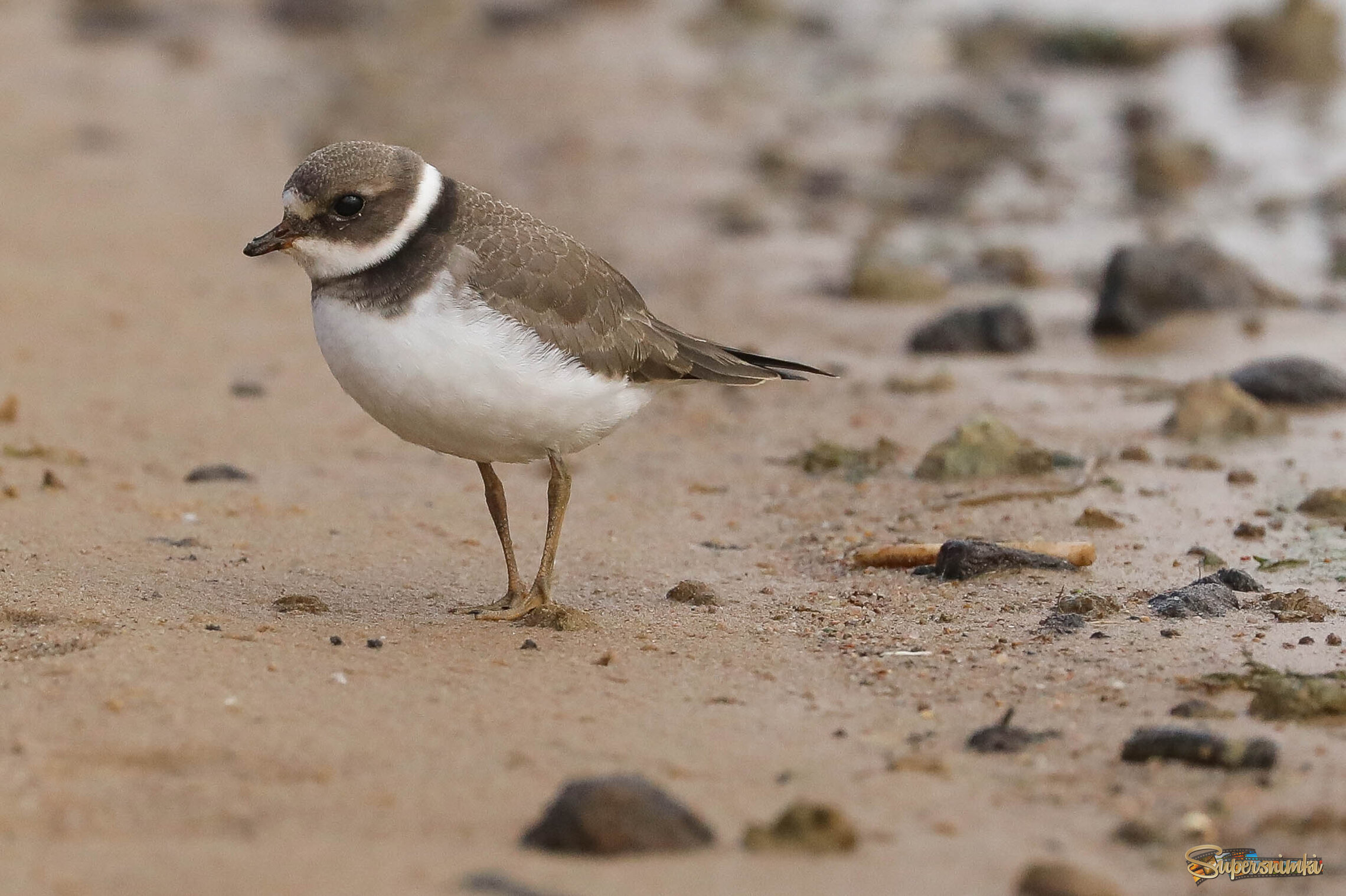 Я за тобой слежу!