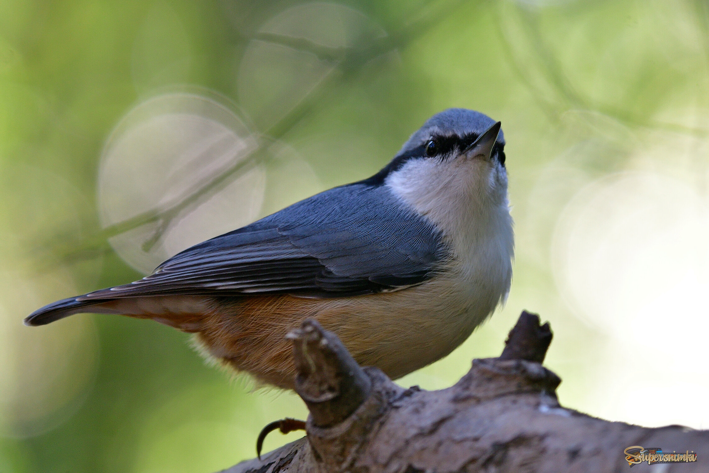 68e4f150f319fad025594934