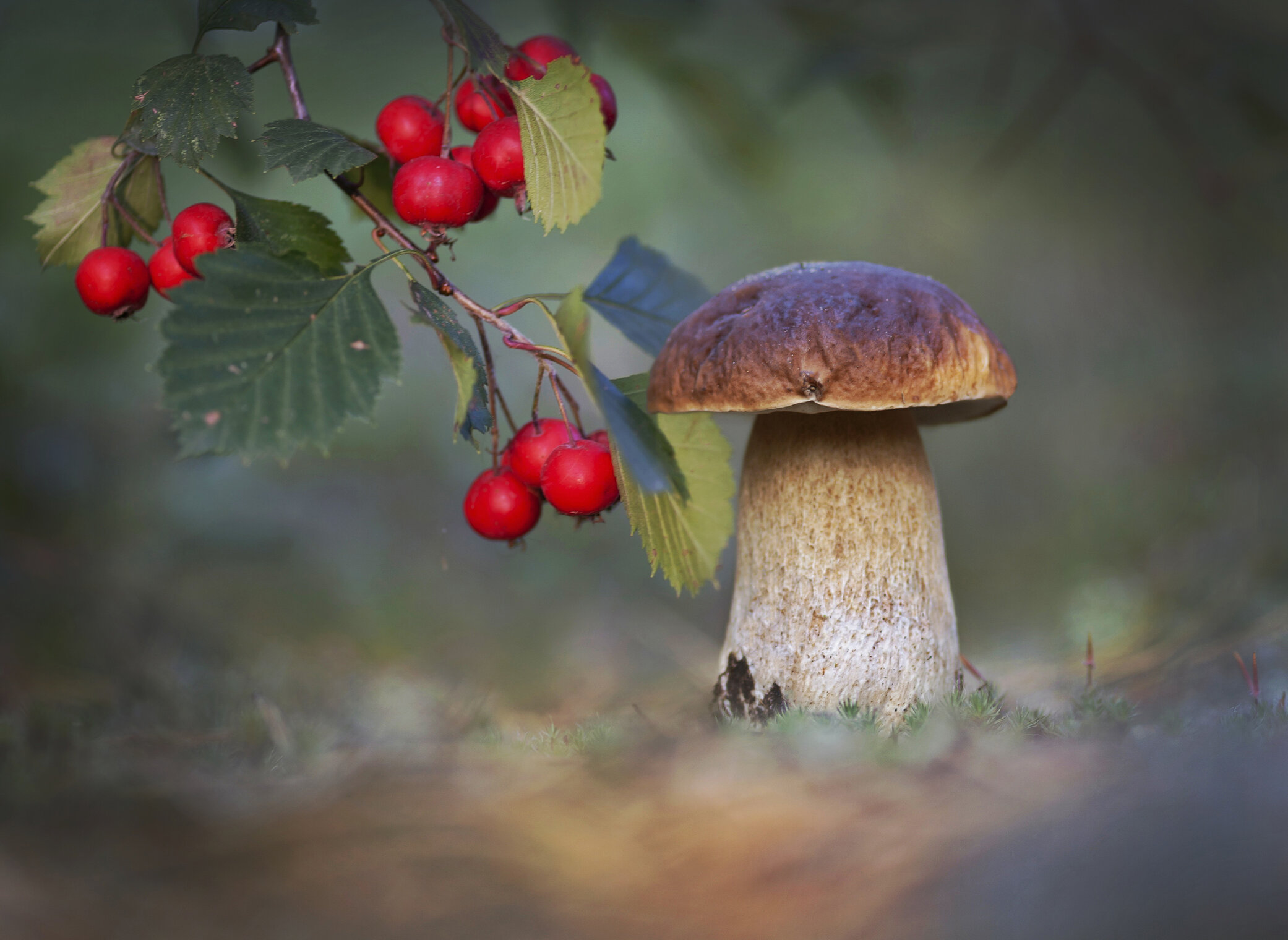 Сезон тихой охоты