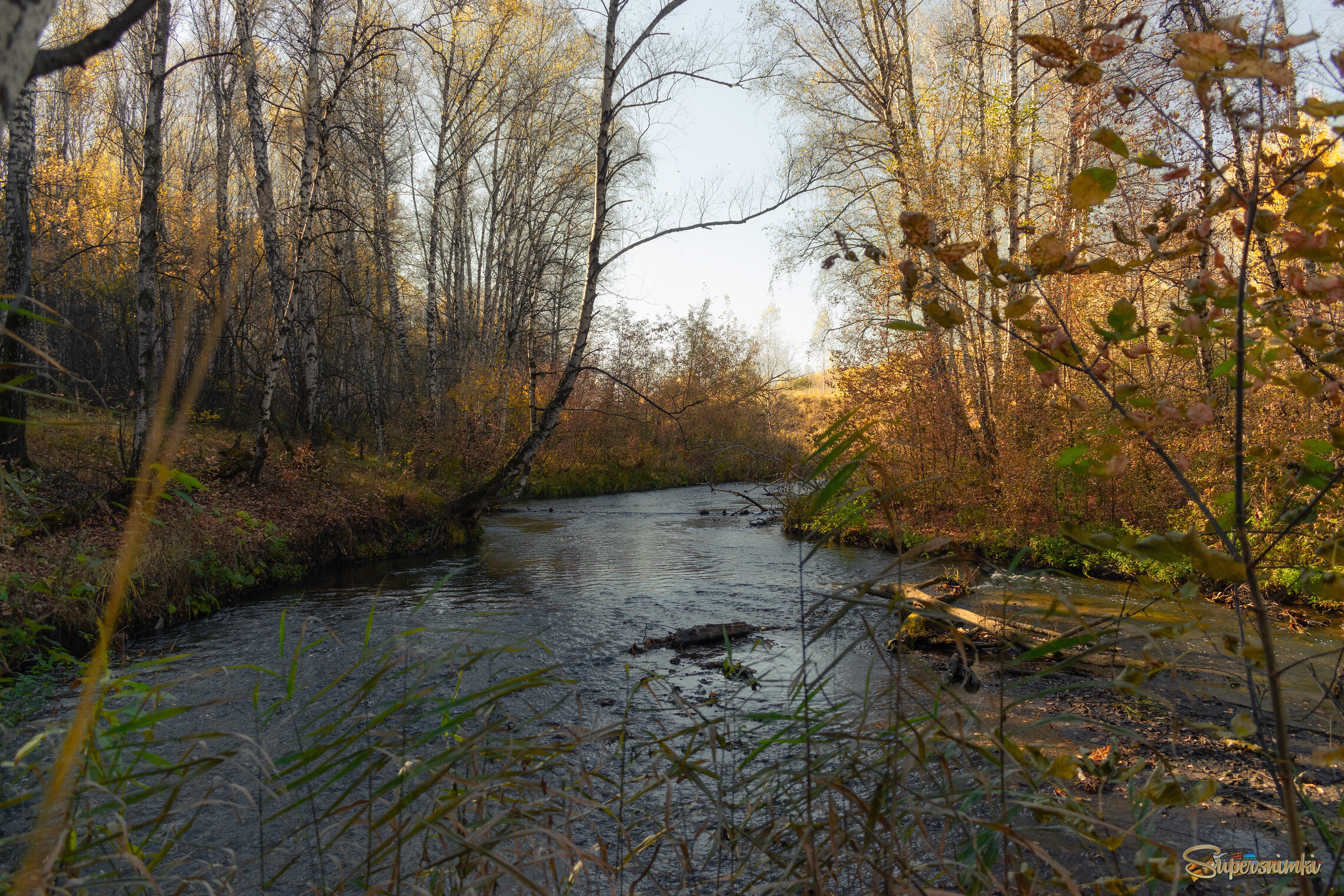 ТИХАЯ ОСЕНЬ