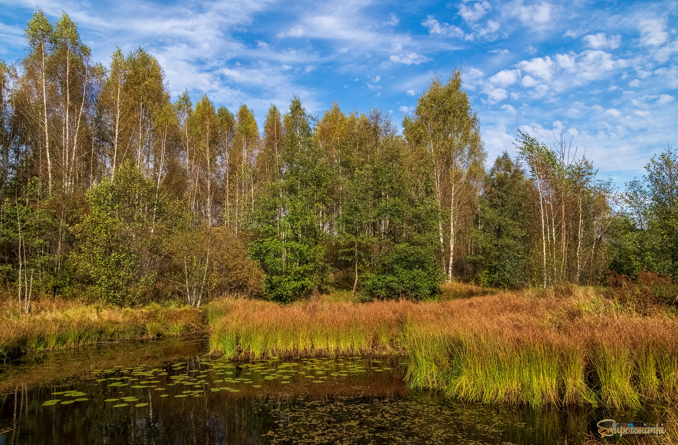 Осень достала краски 5 