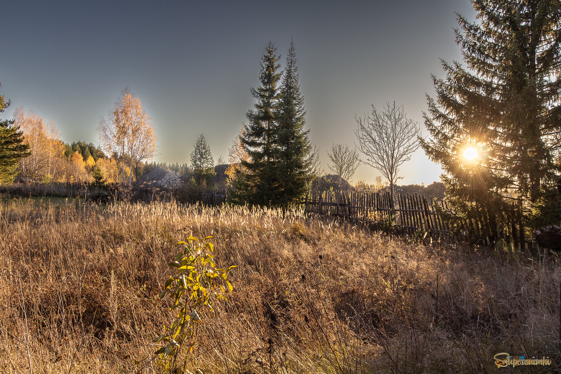 68e67de0d2a0ff143a594935