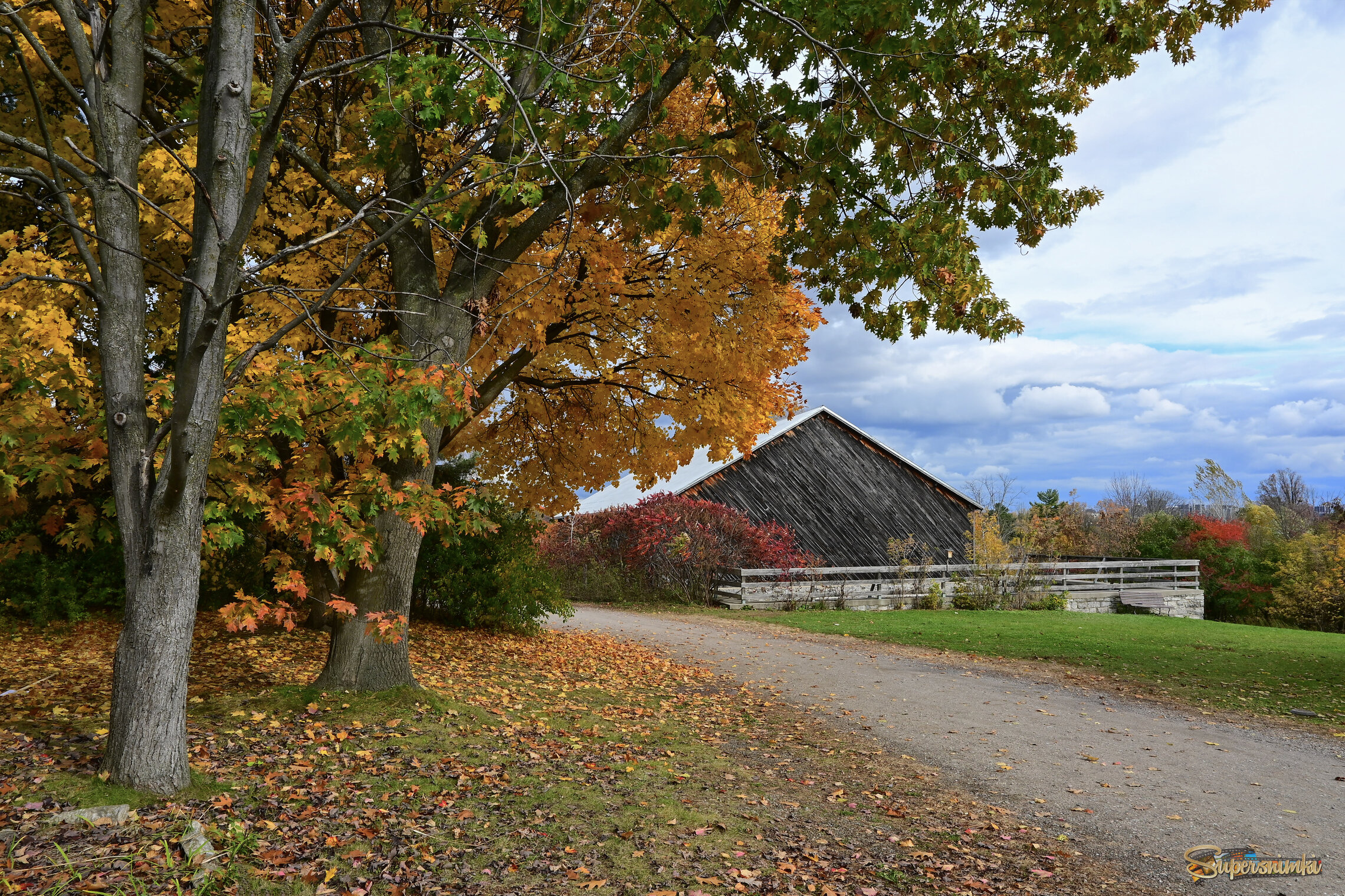 Старый знакомый