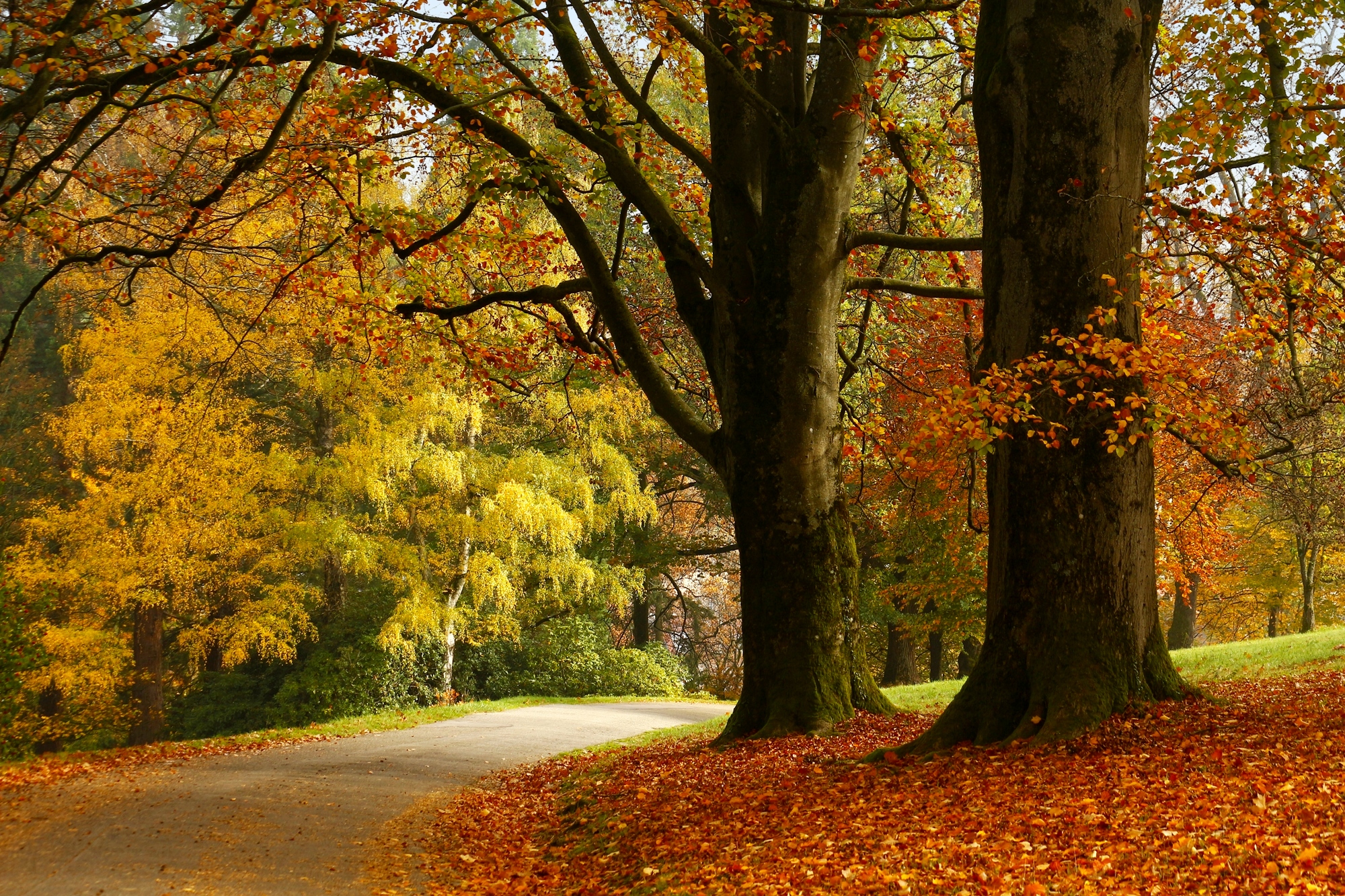 Самые спелые