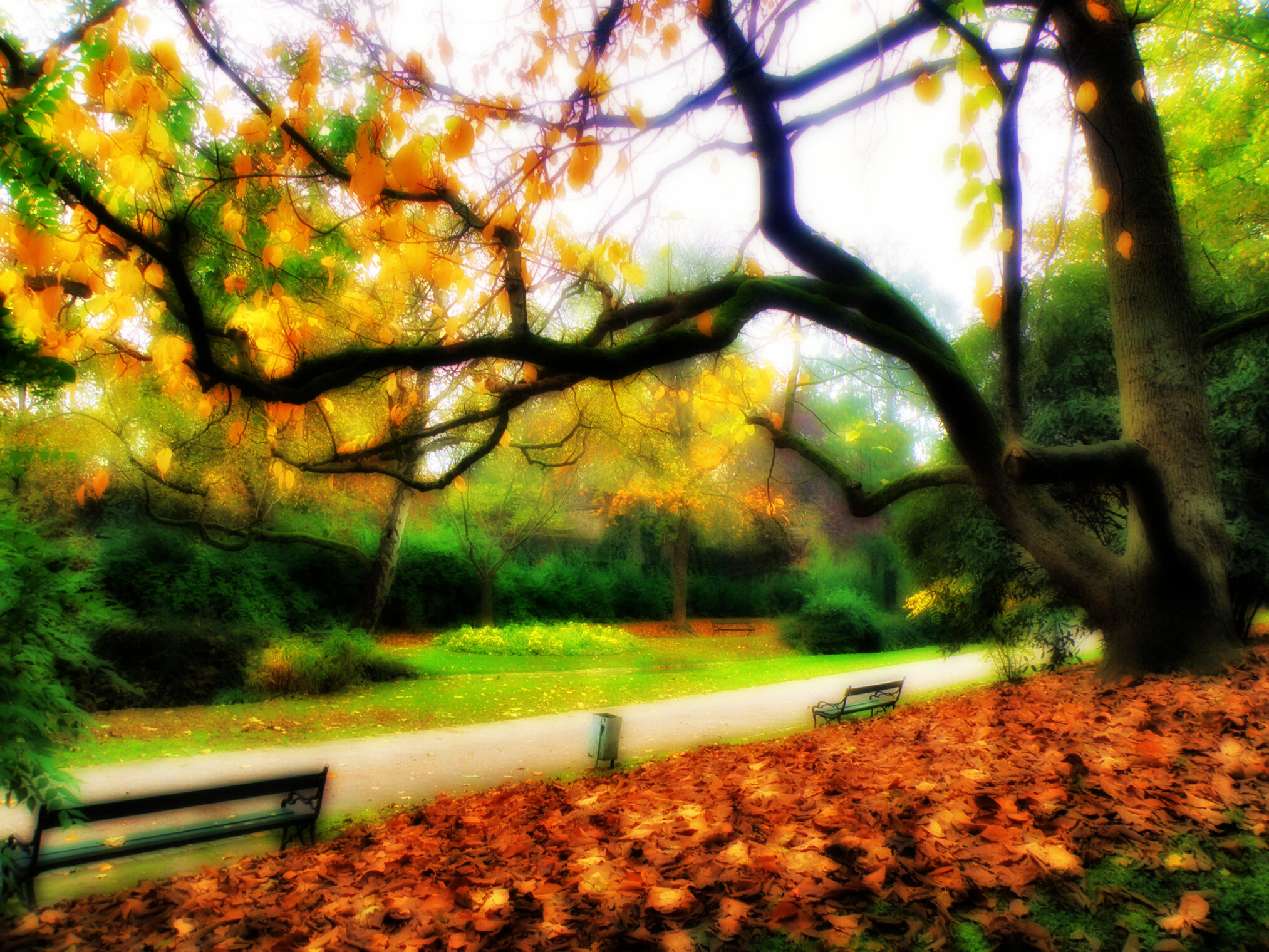 Осенний парк.