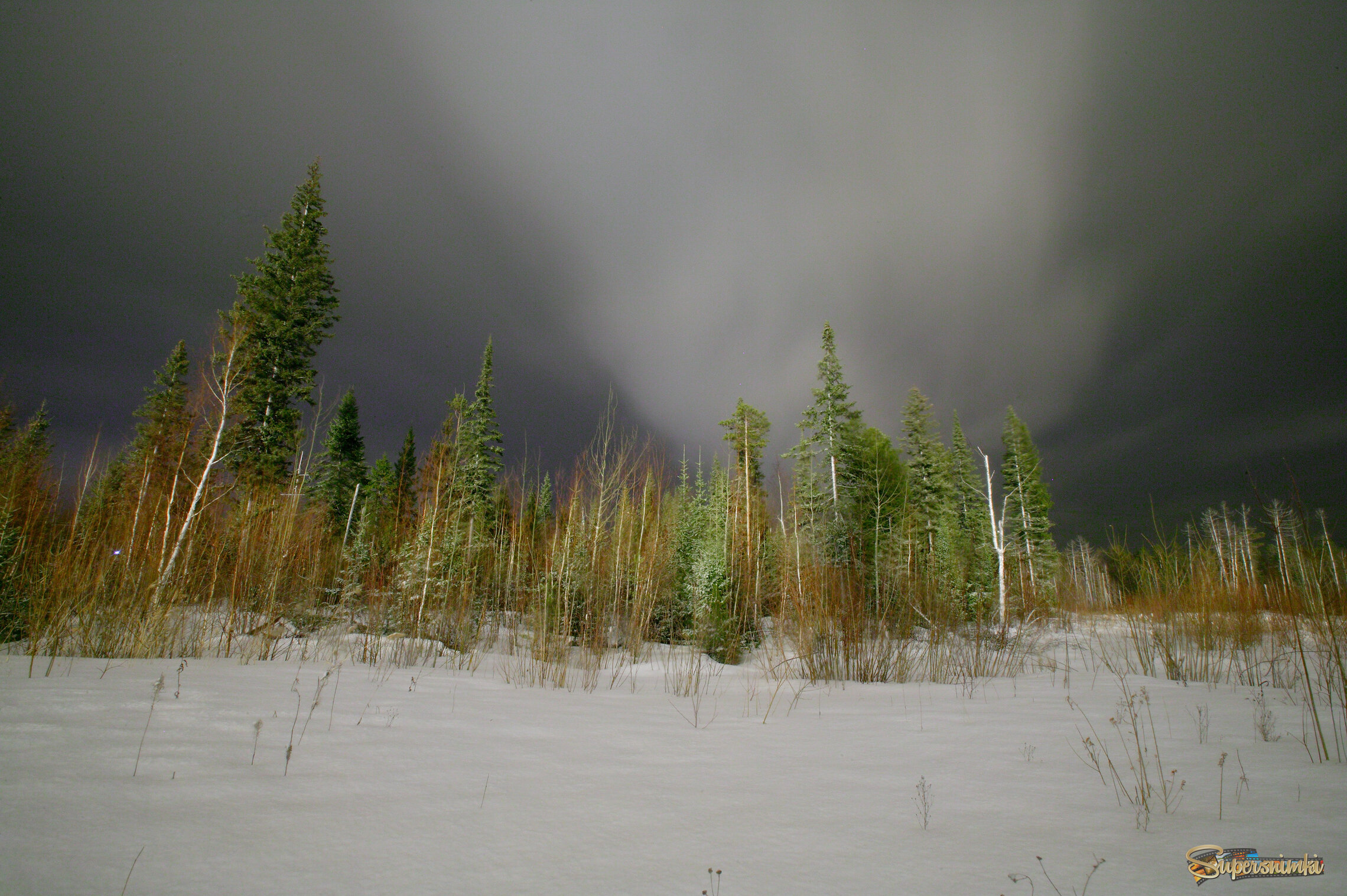 Большое Васюганское болото***