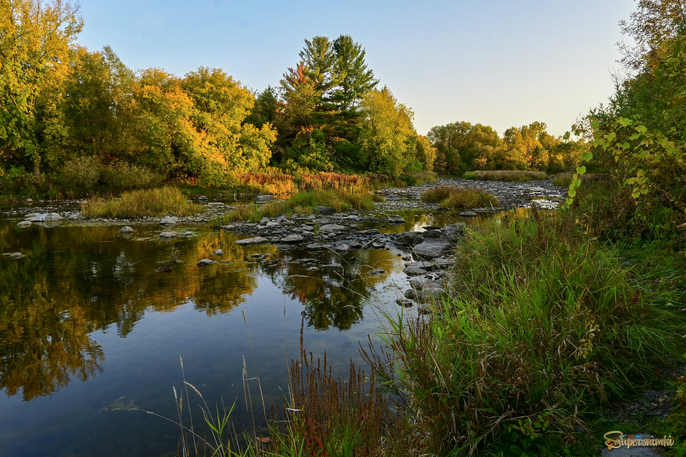 Питая дерева и травы