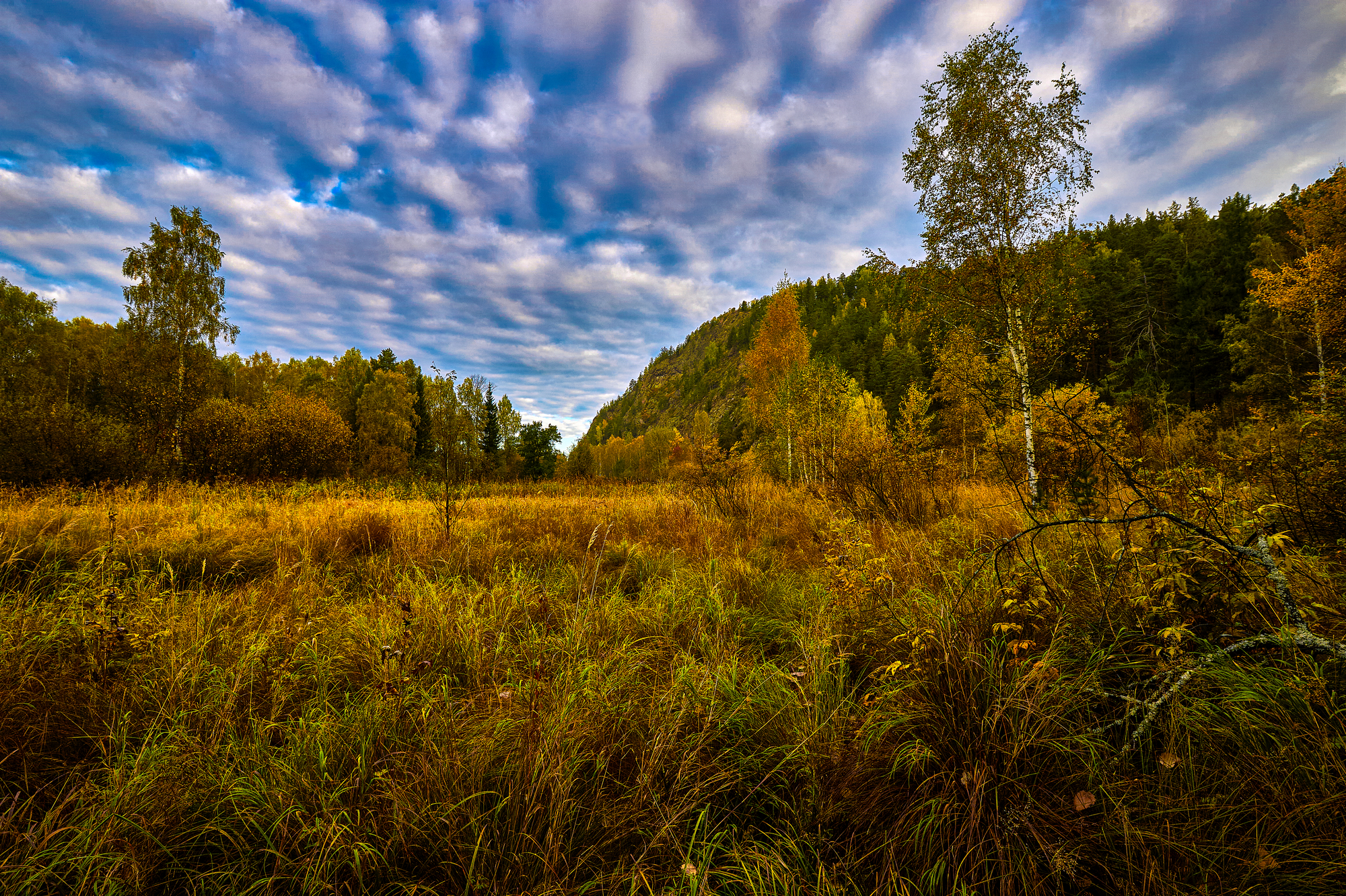 Жёлтое утро сентября.