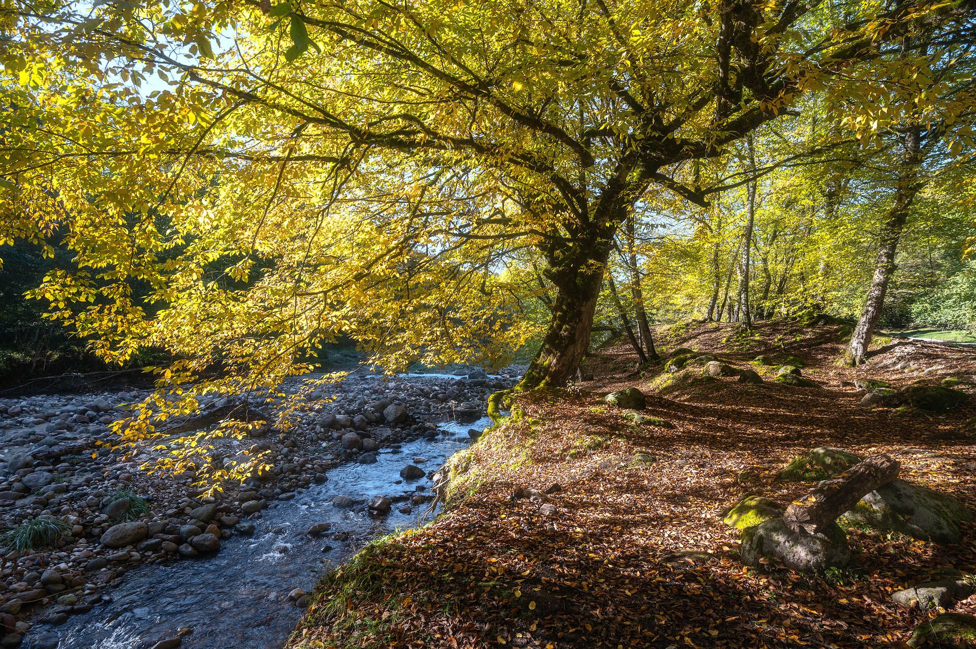 Укромное место