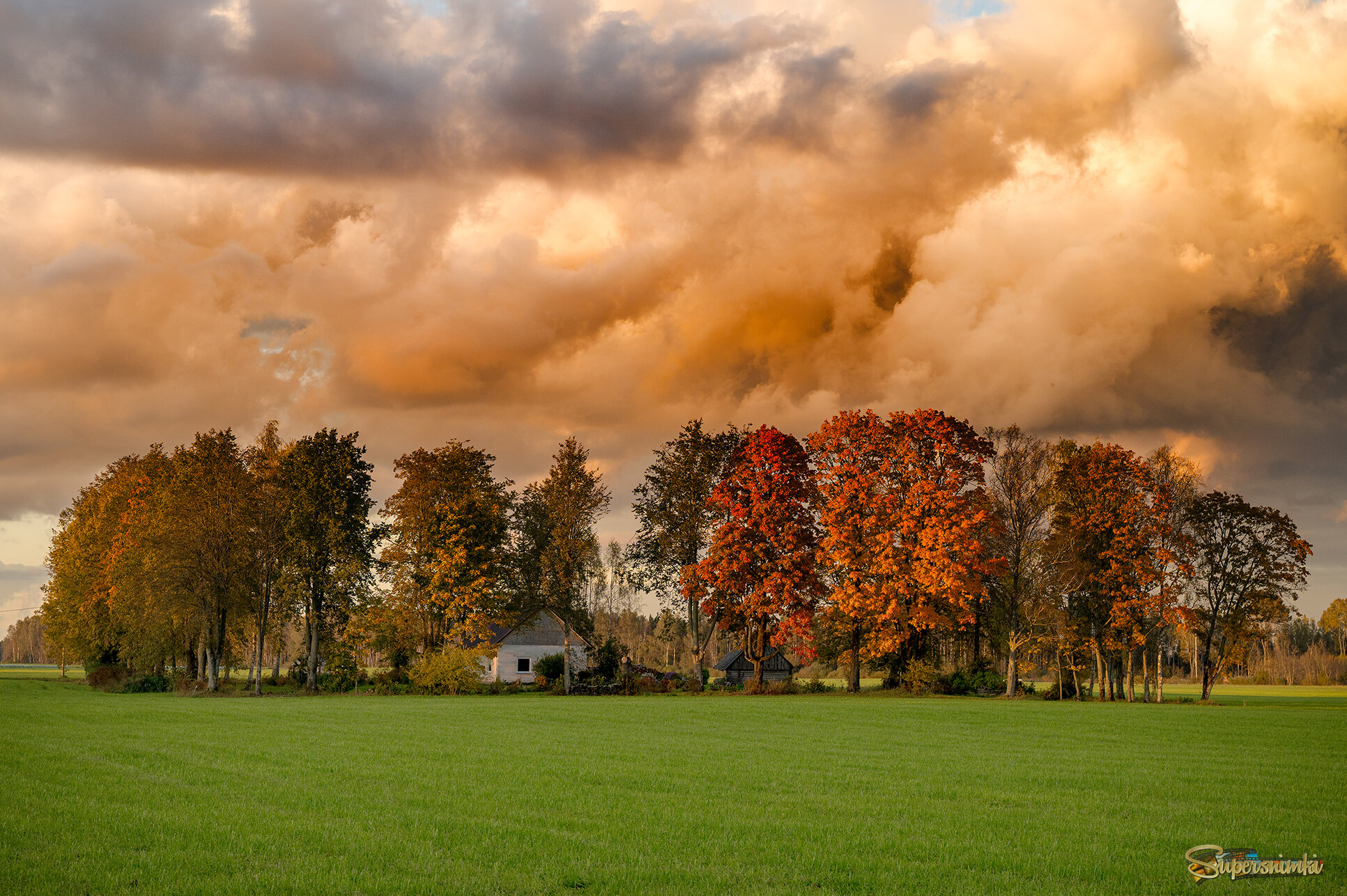 68e747021795507ee5594936