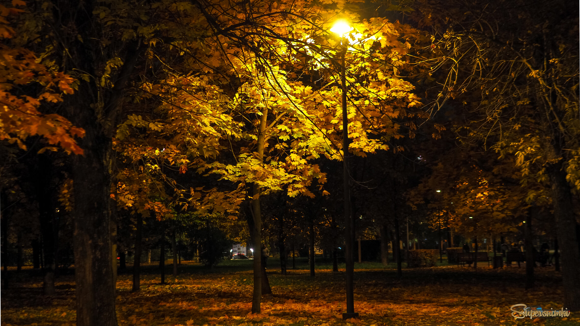 Осенний Вечер в Городе